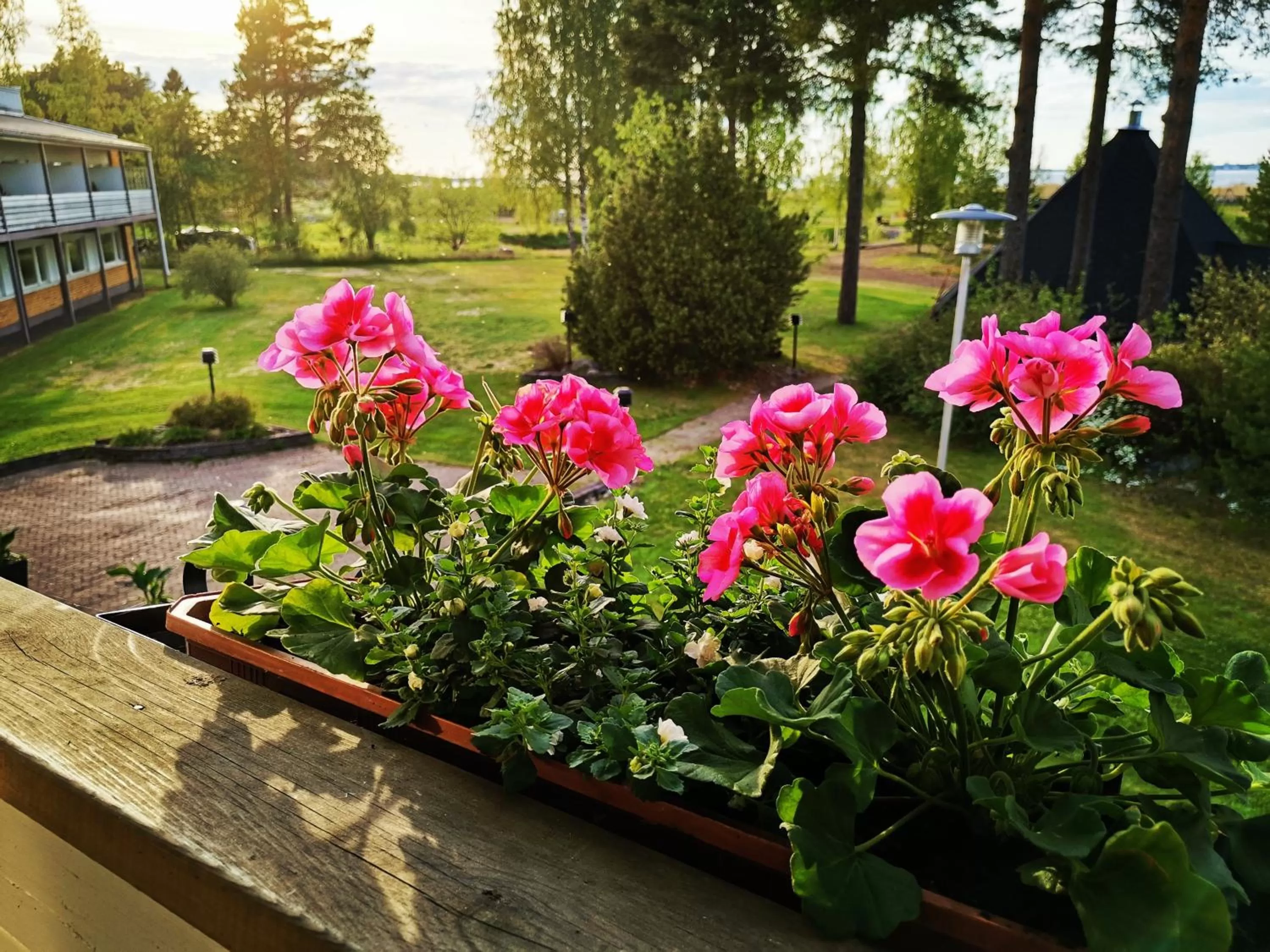 Restaurant/places to eat in Finlandia Hotel Airport Oulu