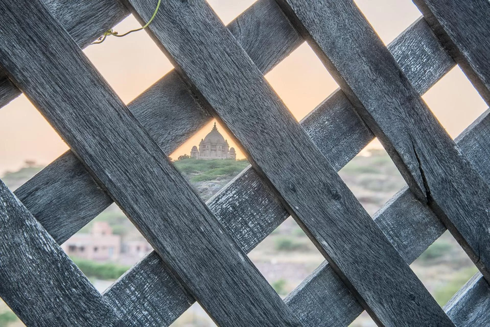 Mountain view in The Almond Tree