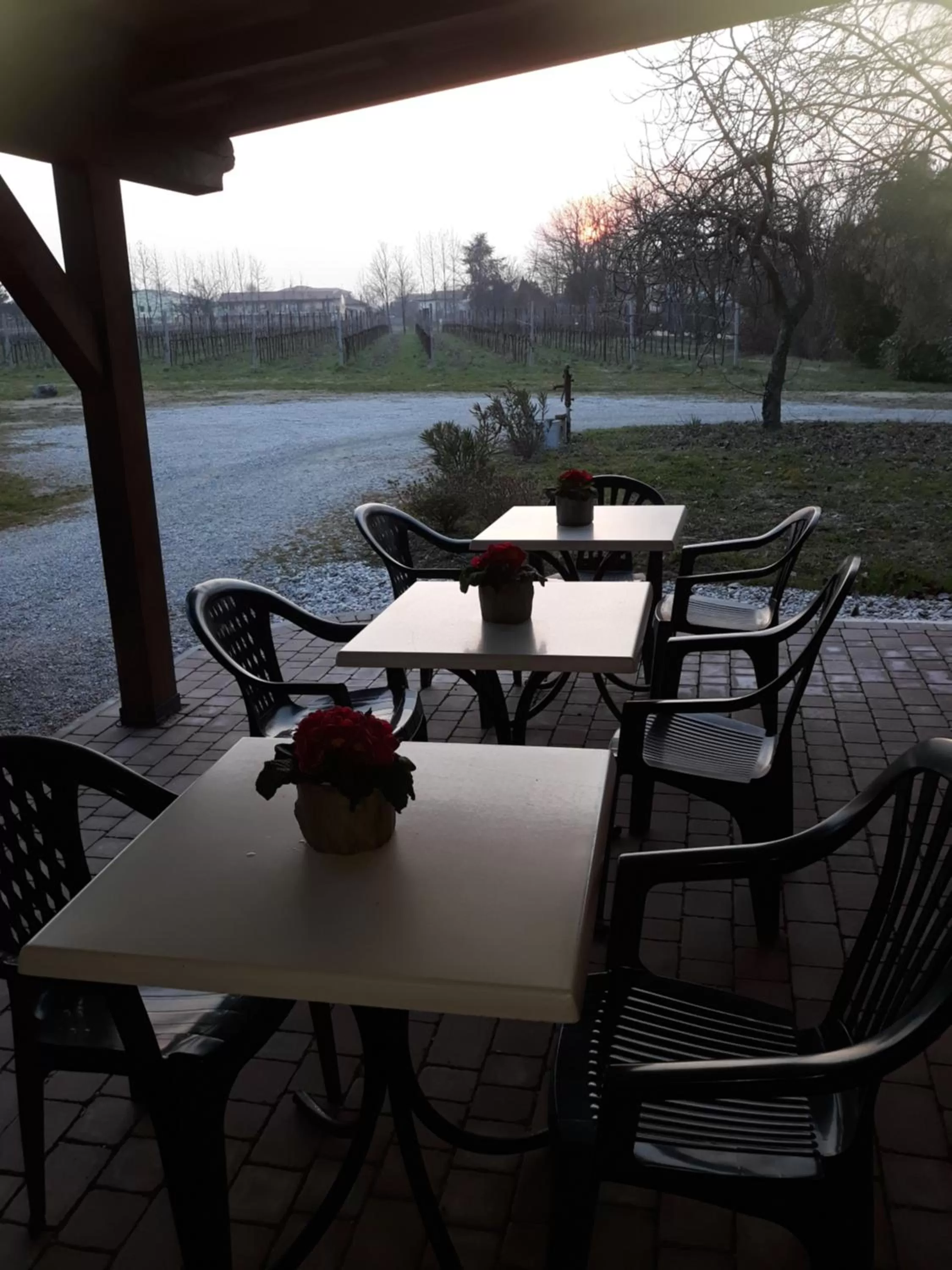 Winter in AGRITURISMO Barone Rosso