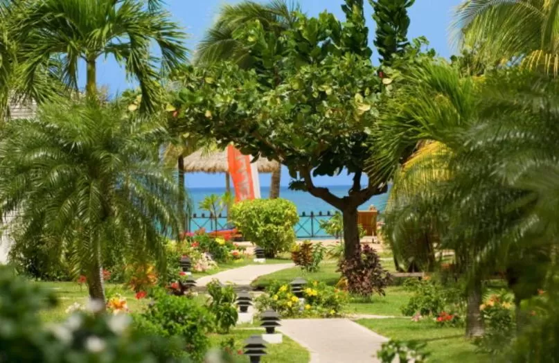 Garden in Coyaba Beach Resort