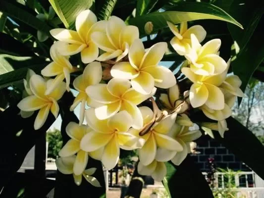 Natural landscape in PAP'S Chambres d'Hôtes