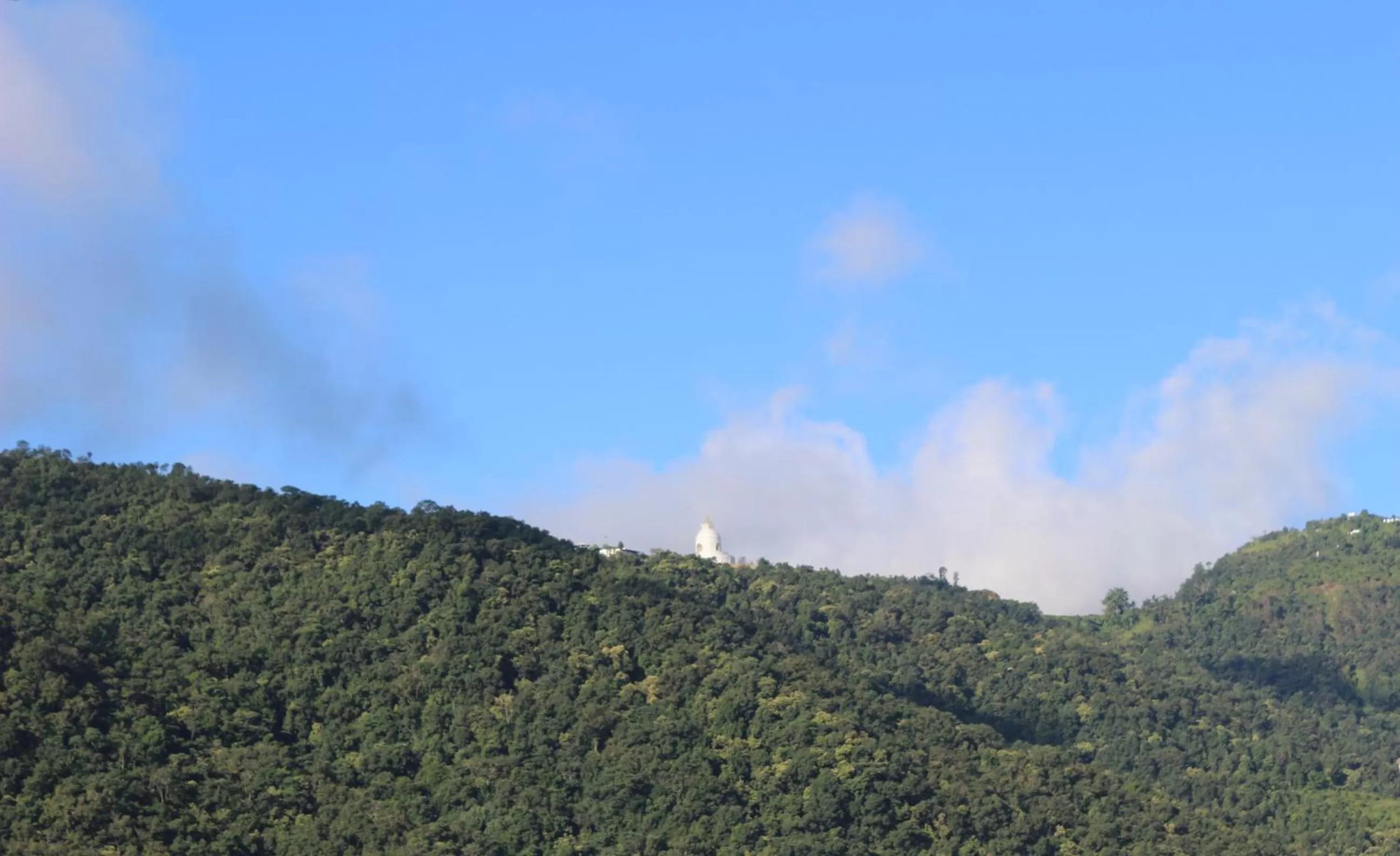 View (from property/room) in Hotel Buttercup