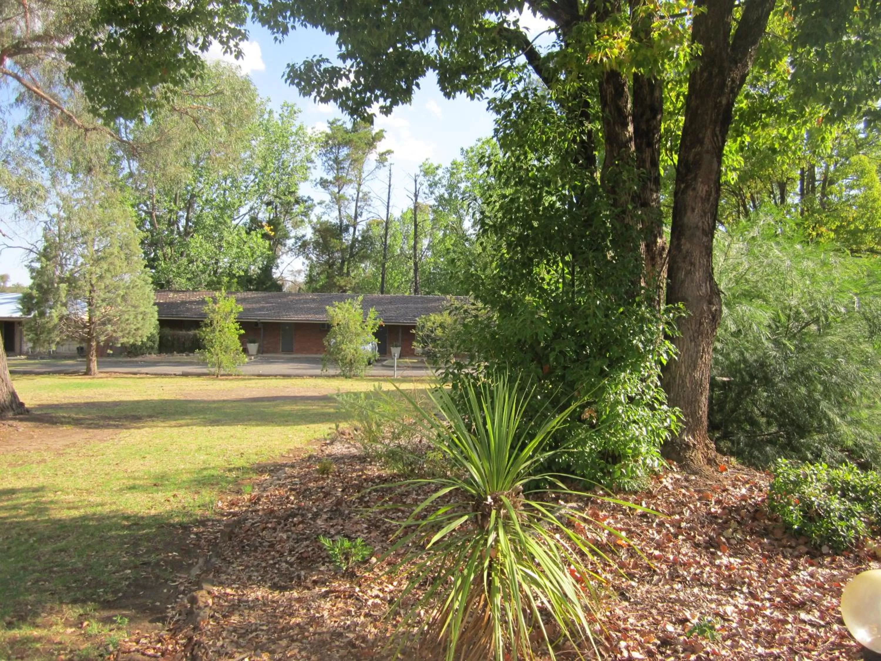 Garden in Amber Court Motor Inn