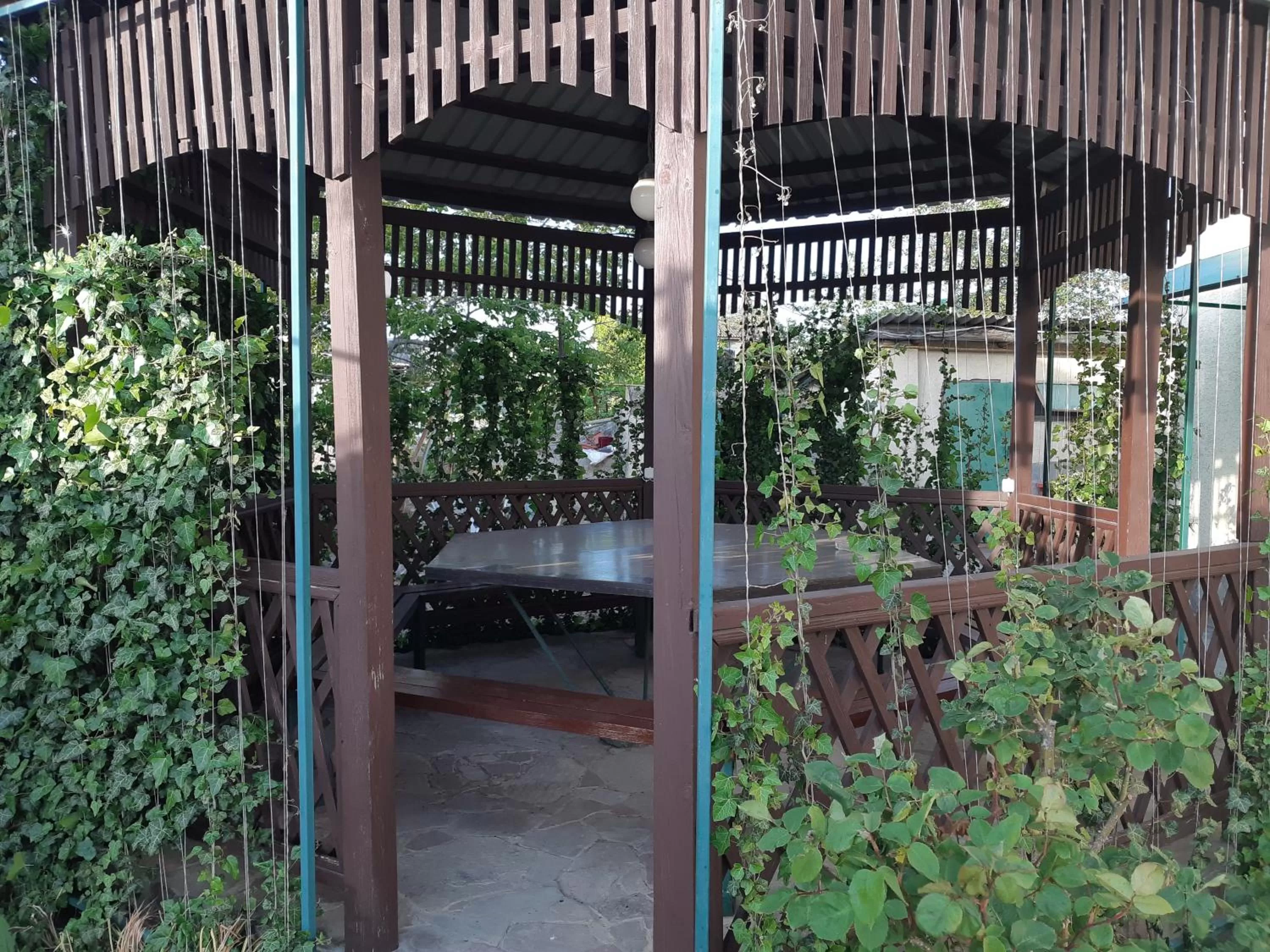 Patio in Zolotoy Bereg Hotel