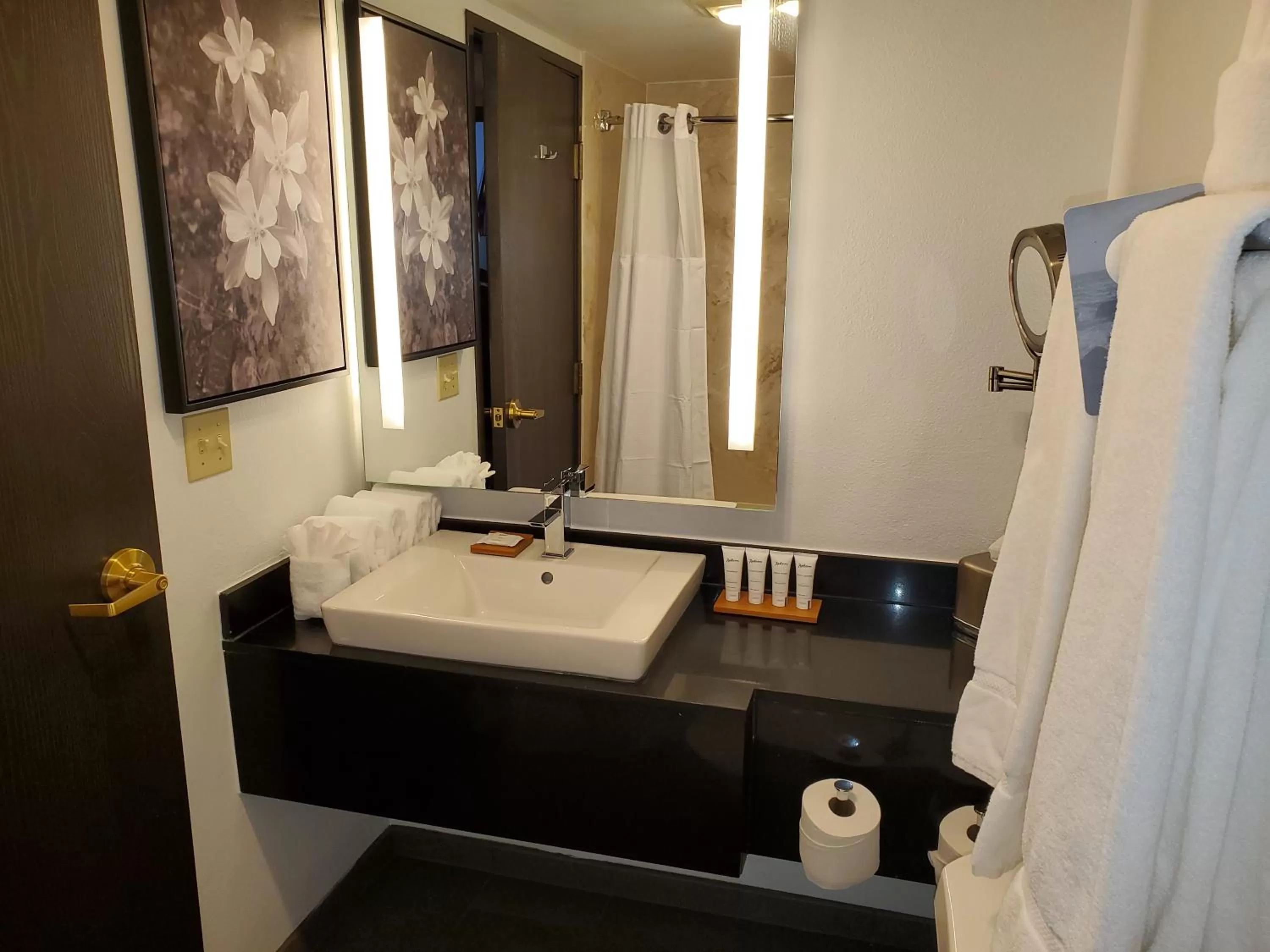 Bathroom in Radisson Hotel Colorado Springs Airport