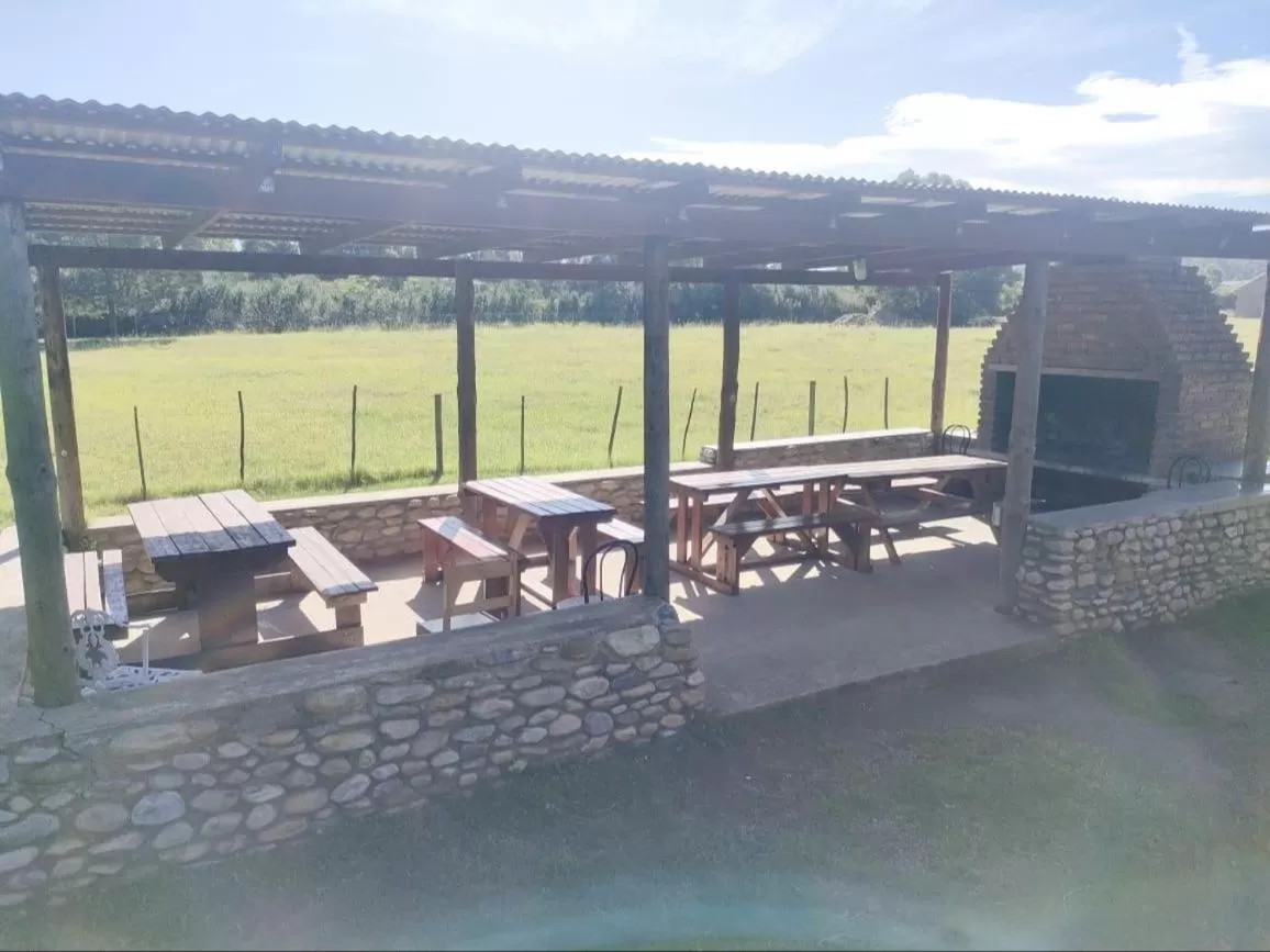 View (from property/room) in Blue Mountain Farm Lodge, Cabins & Cottages