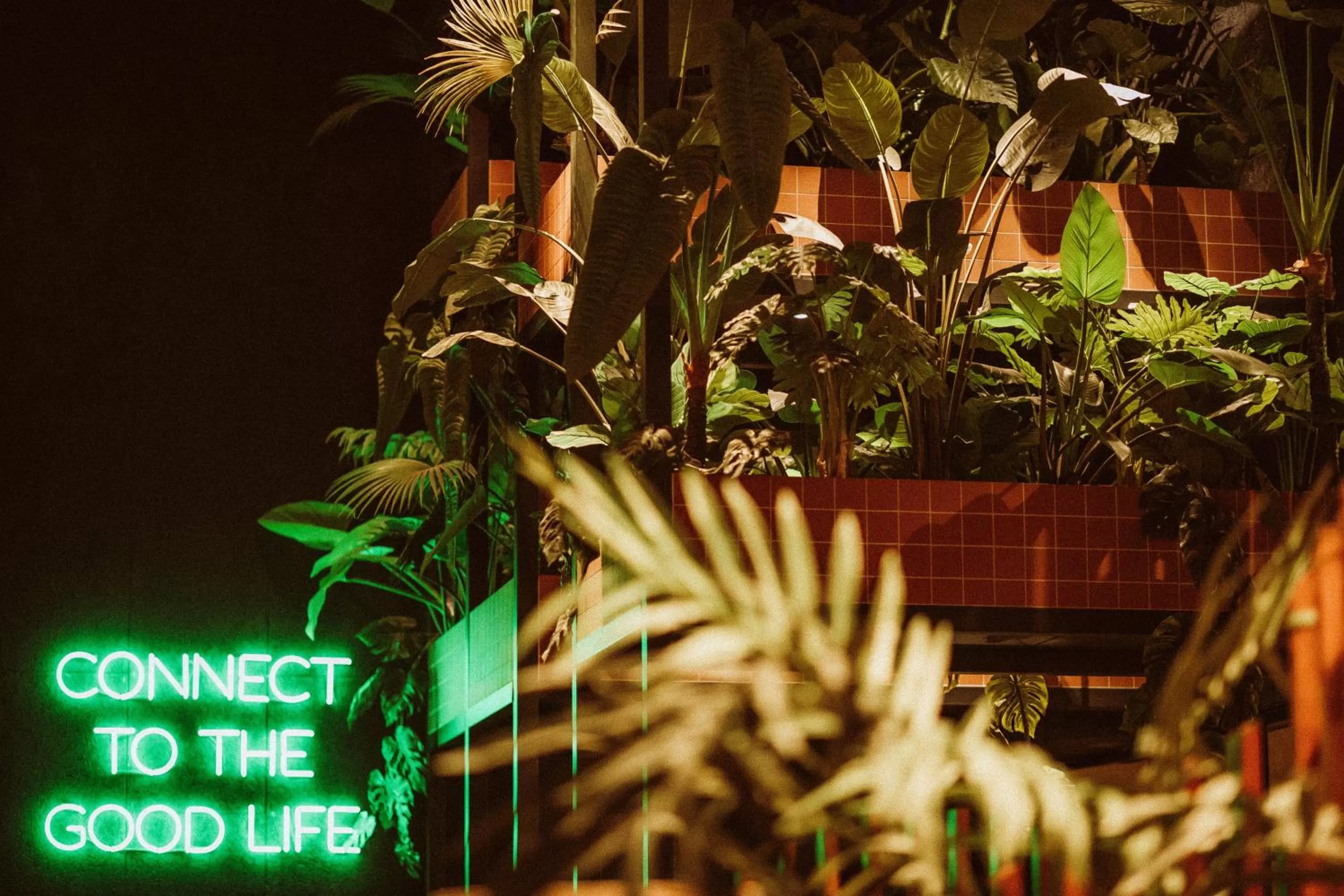 Night in Yalo Urban Boutique Hotel Gent