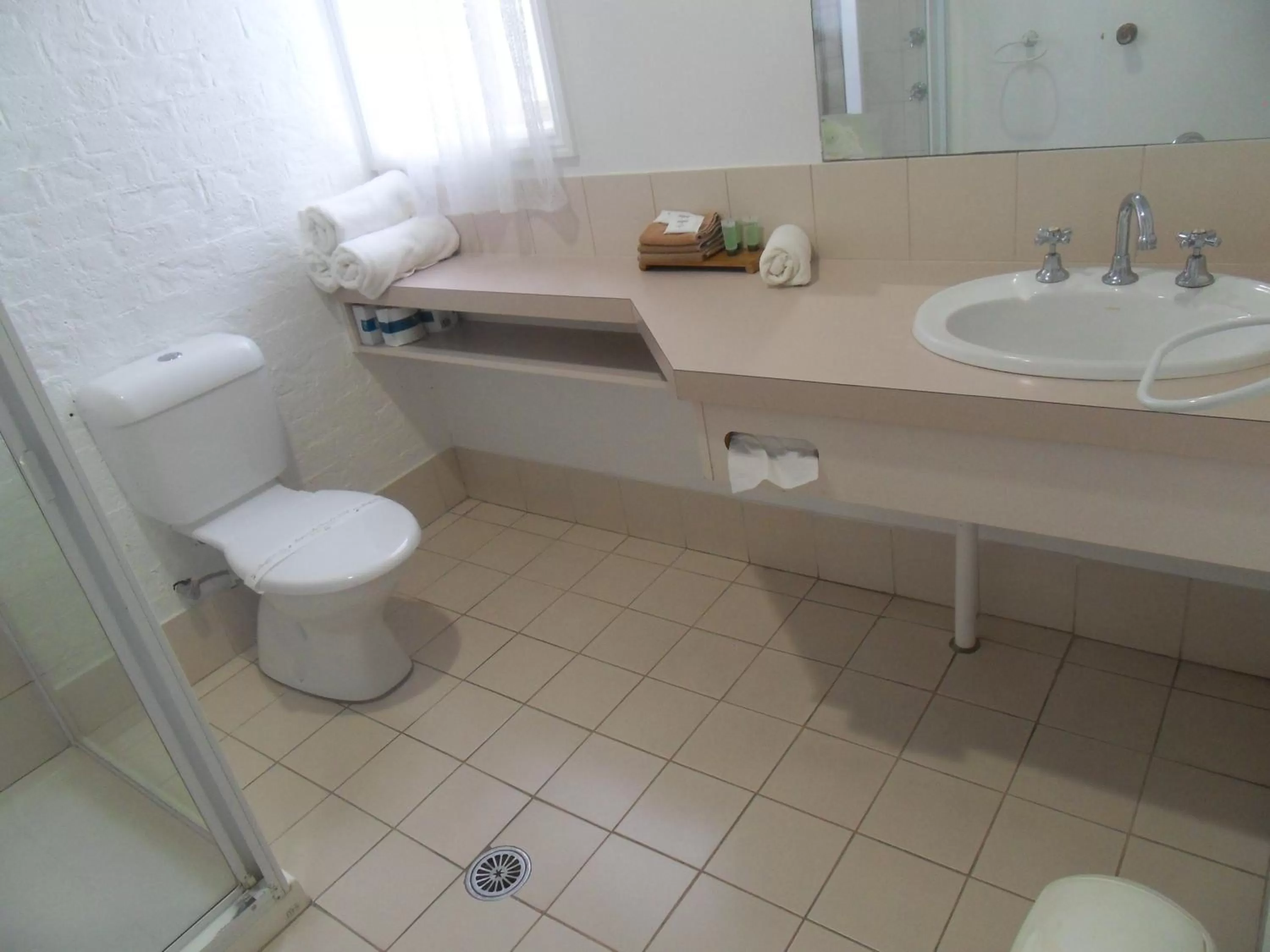 Bathroom in Swaggers Motor Inn