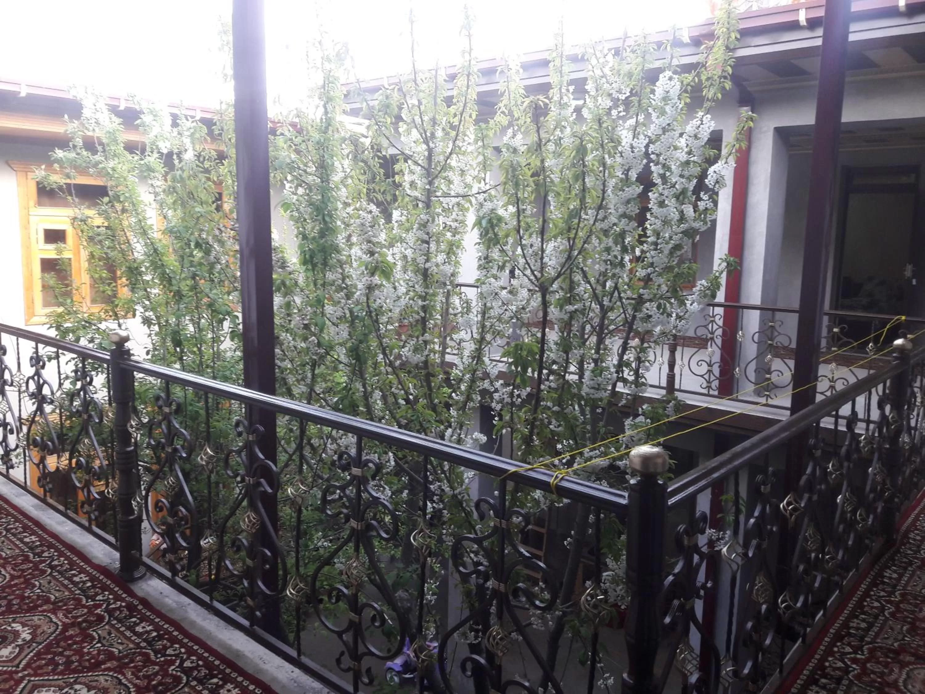 Balcony/Terrace in HOTEL-129