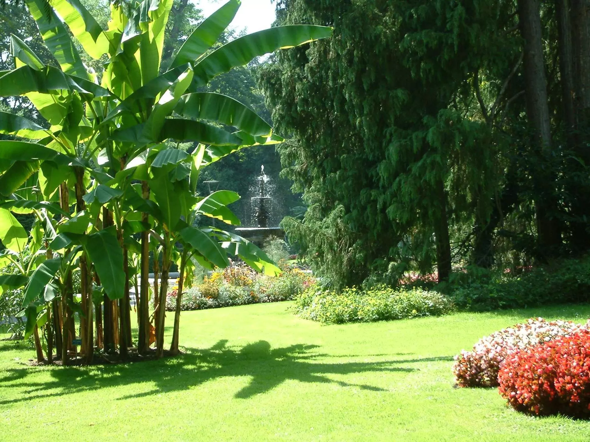 Hotel Strandcafé Dischinger