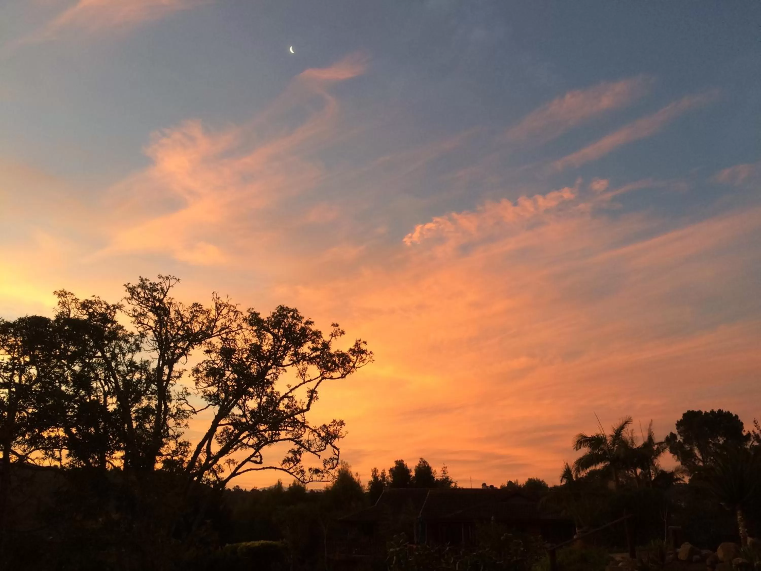 Sunrise/Sunset in Fish Eagle Lodge