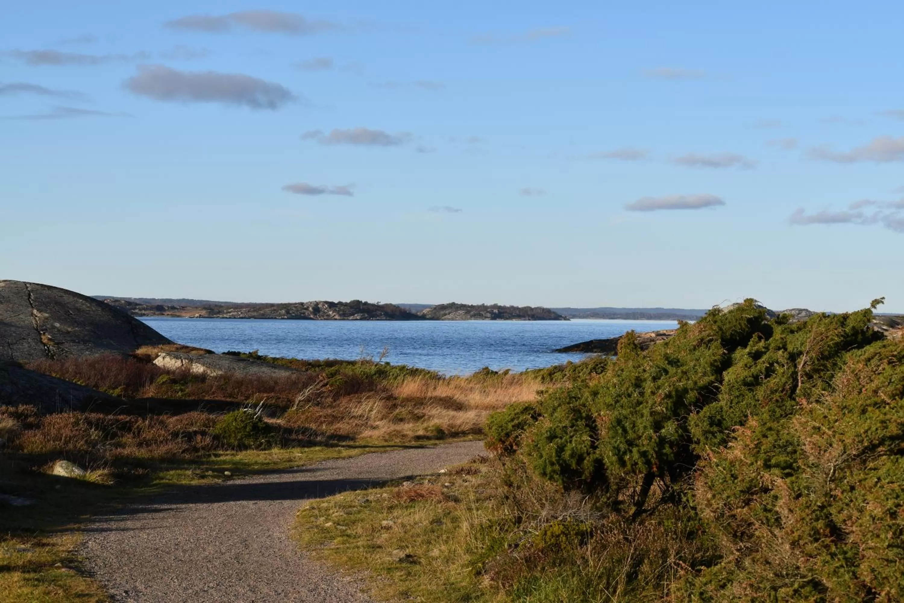 Natural landscape in Åsa Jutegård