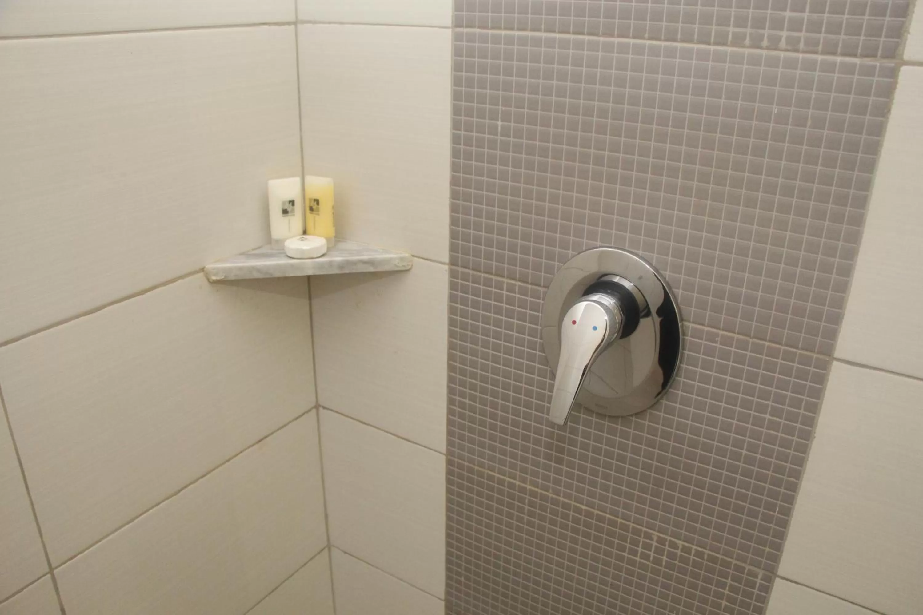 Shower in Swiss-Belinn Balikpapan