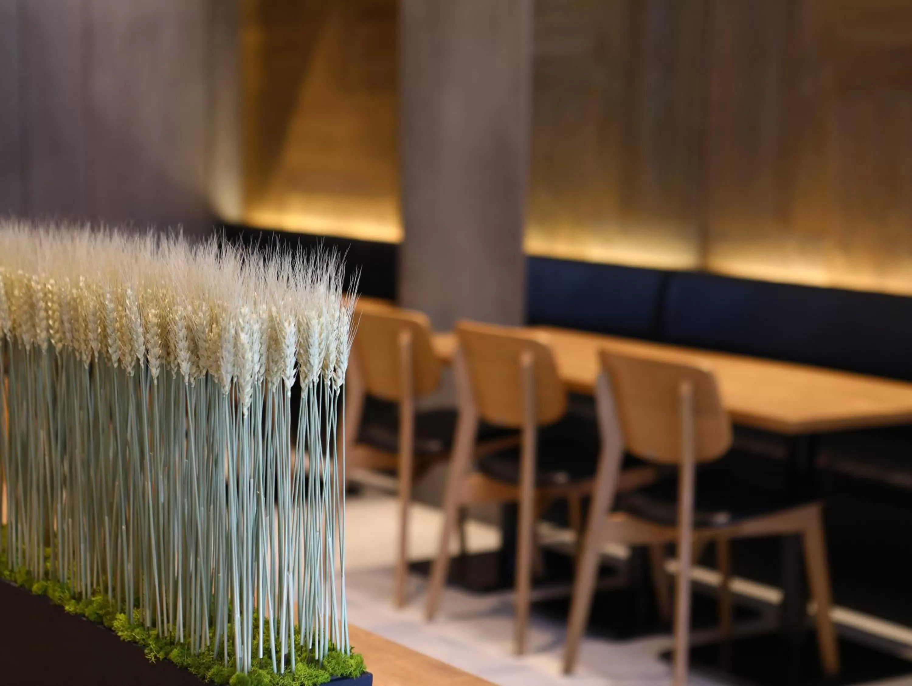 Restaurant/places to eat in Hotel Wing International Kyoto - Shijo Karasuma