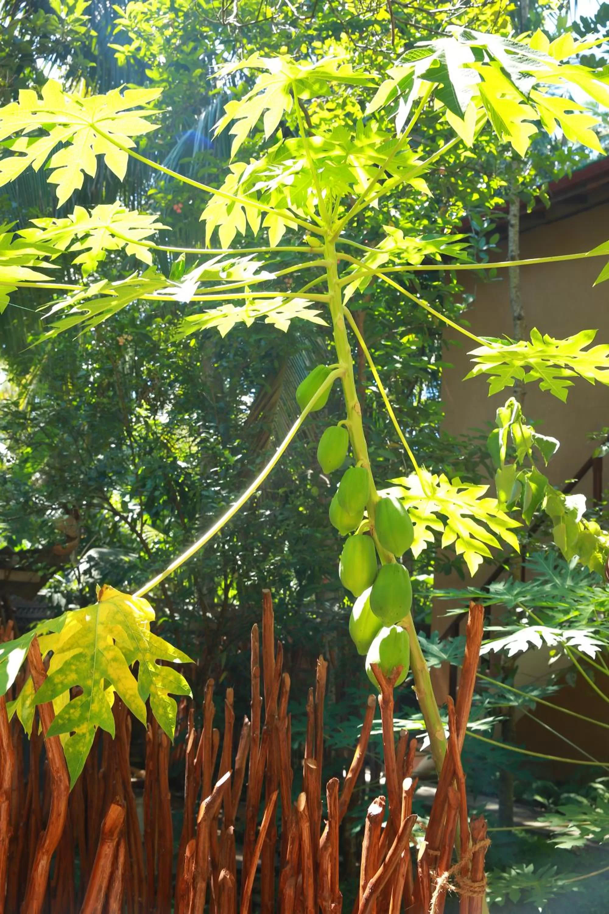 Property building in Limecabanas-srilanka