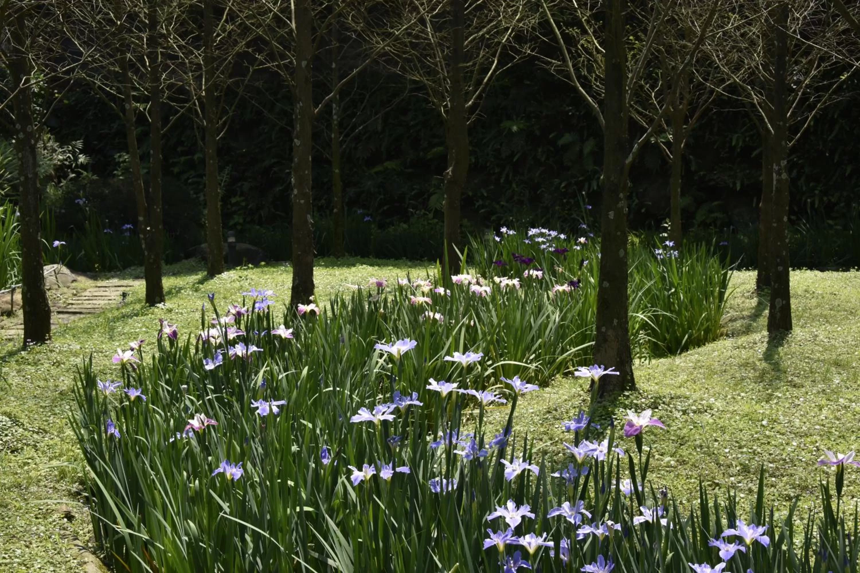 Garden in Rainbow Bridge B&B