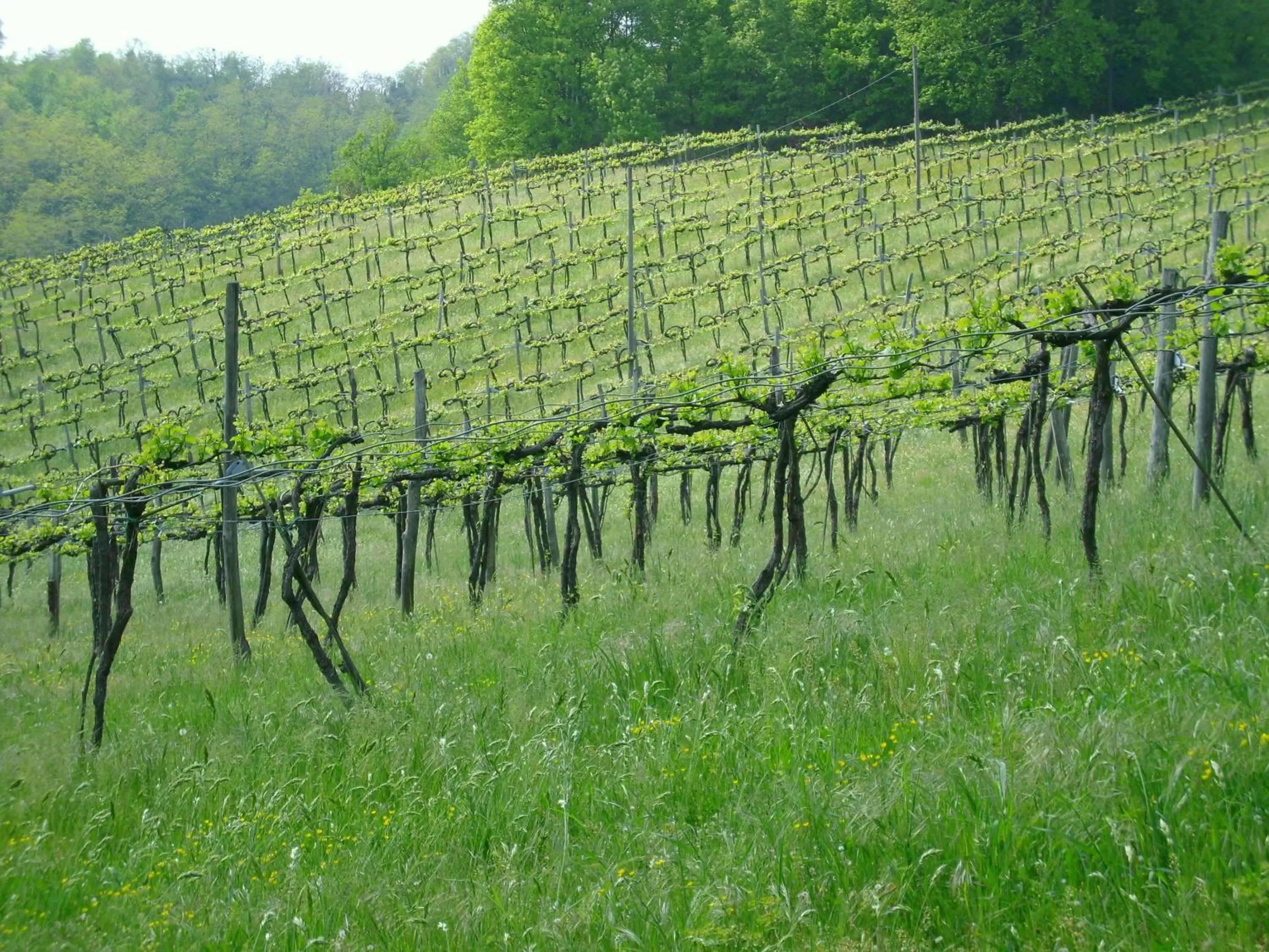 Area and facilities in Admiral Park Hotel by Falco D'Oro Hotels