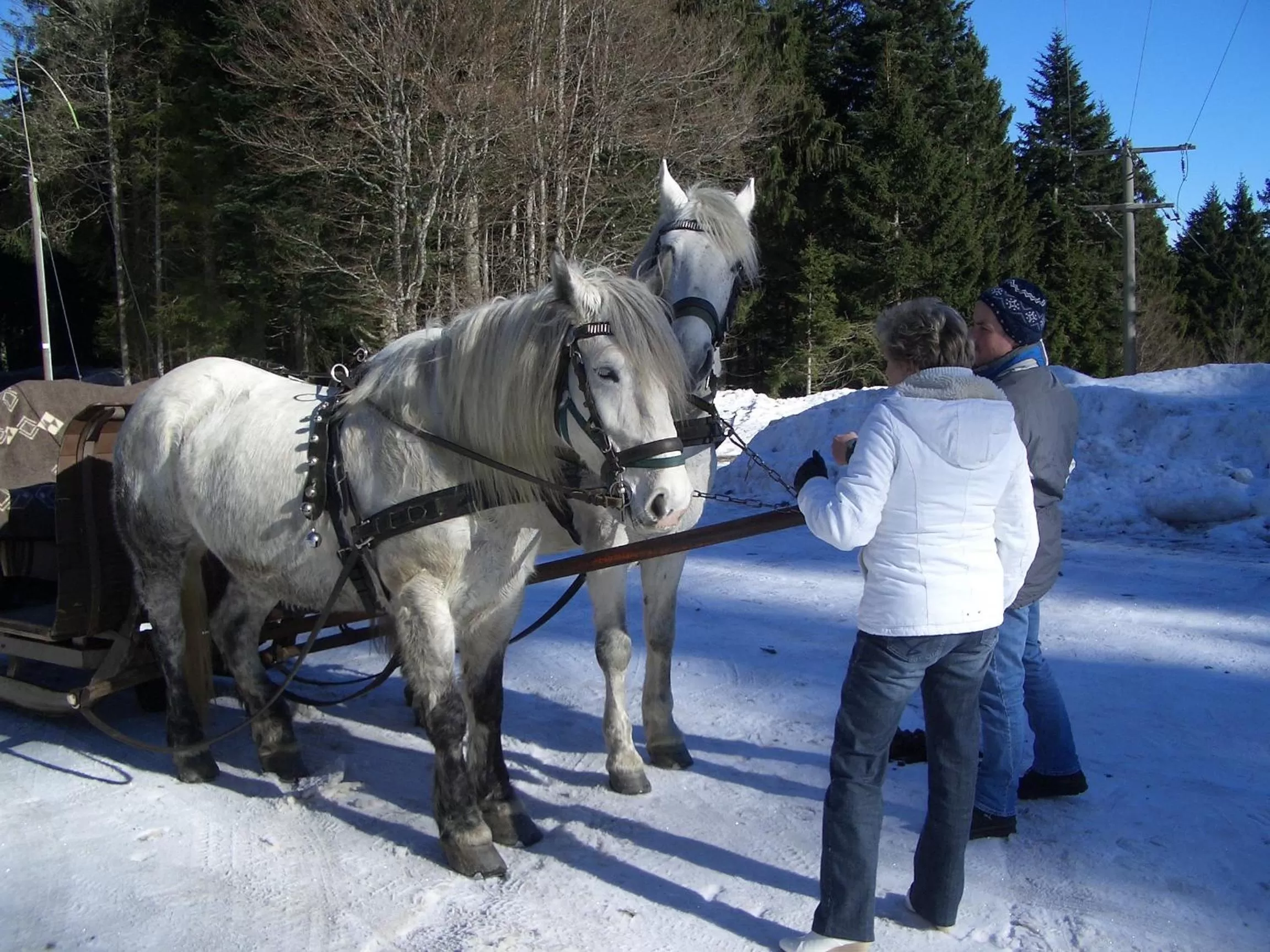 Winter in Hotel Schwarzwald-Gasthof Rößle