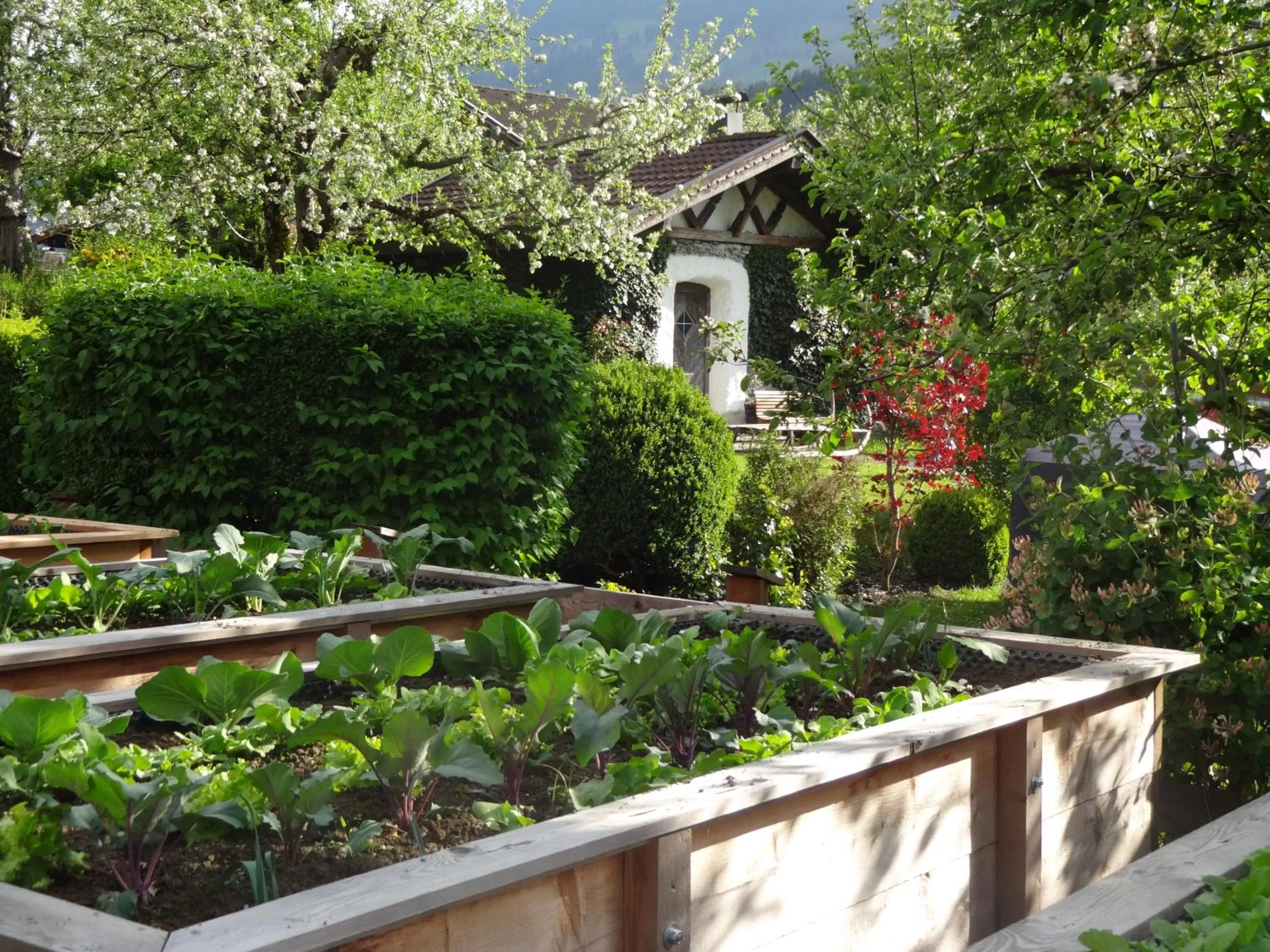 Garden in Natur Resort RISSBACHER