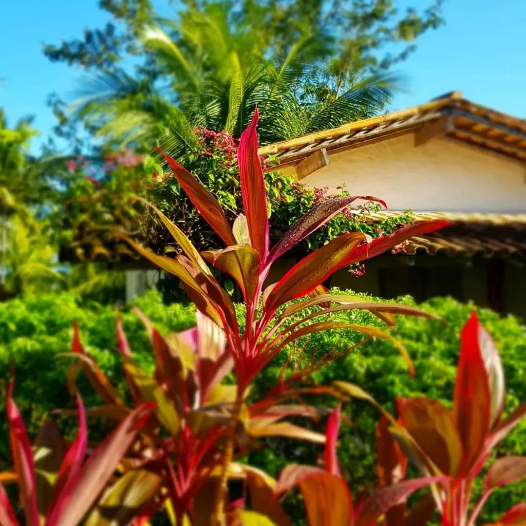 Garden, Property Building in Pousada Villages Boutique Hotel