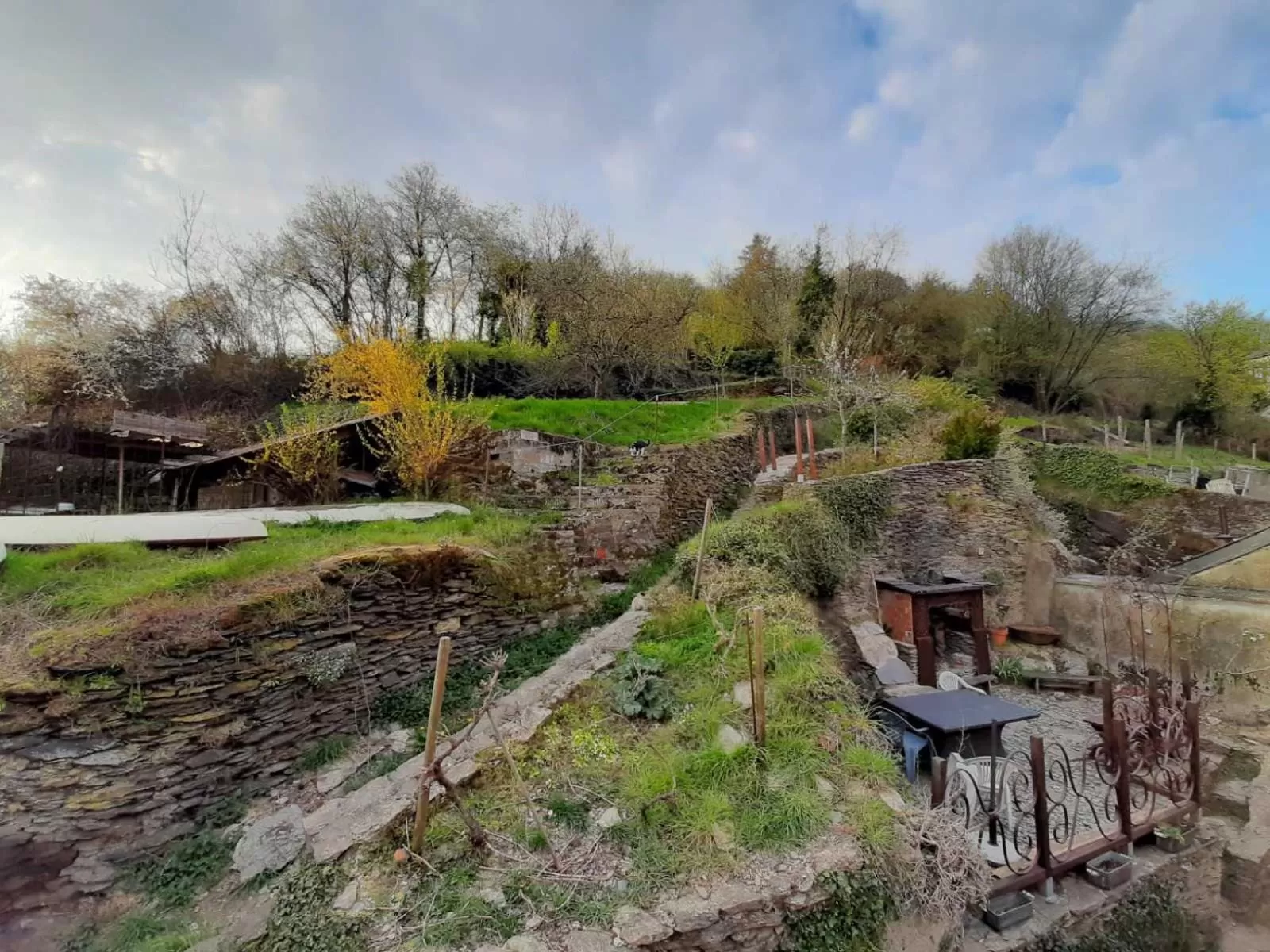Garden in Golden Lion