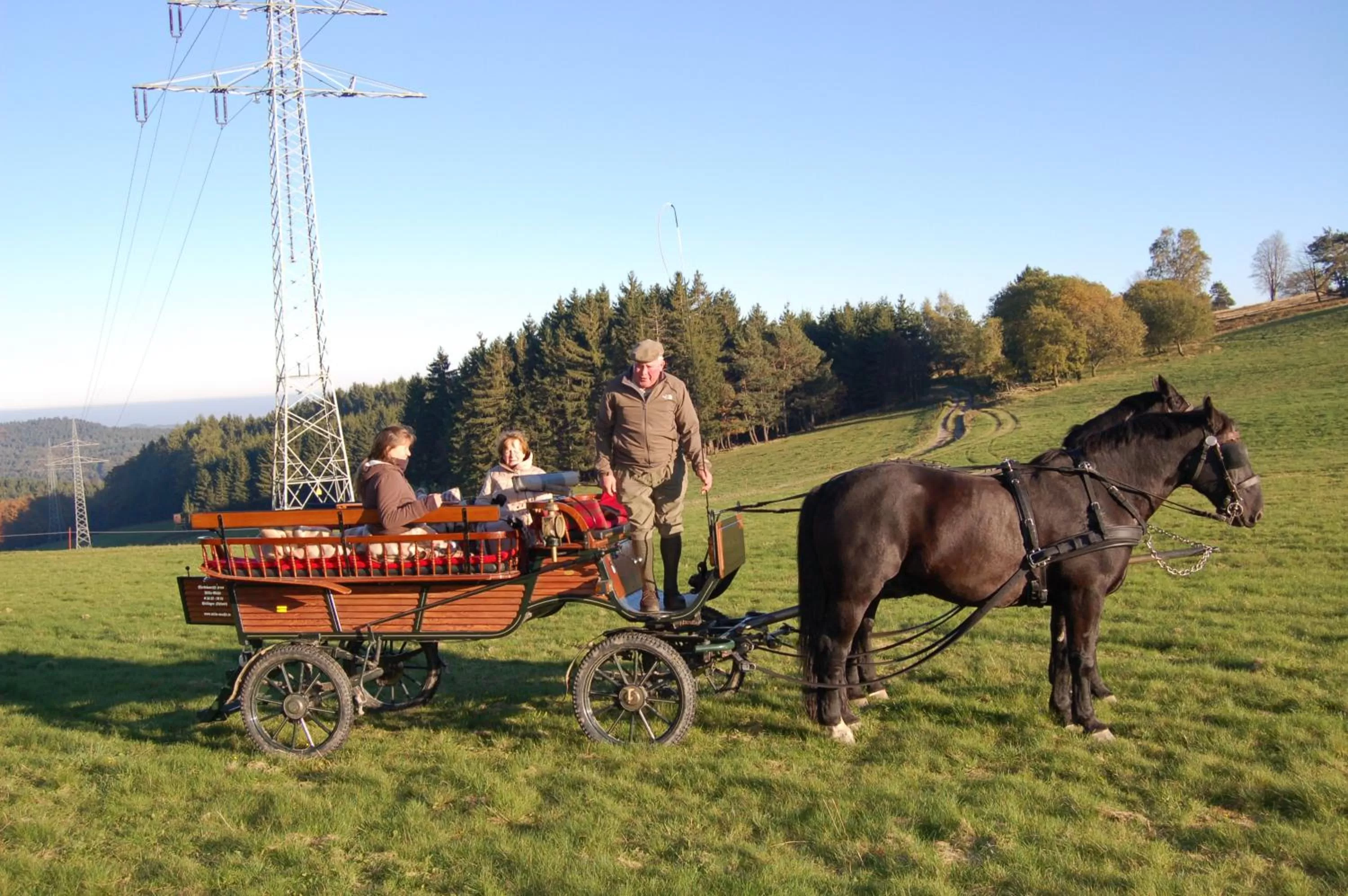 Activities in Westfalenhof Garni