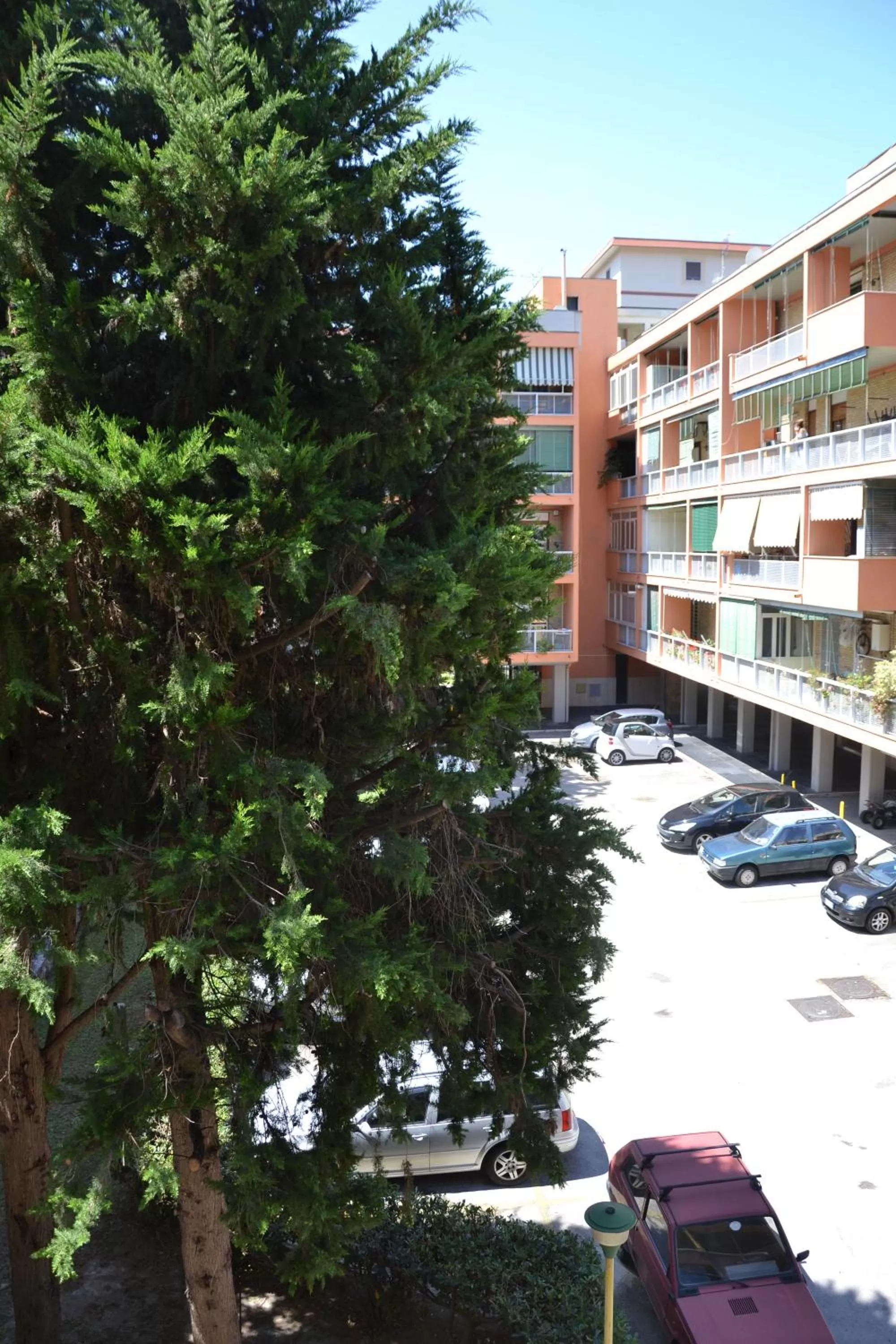 Property building in Mary's house