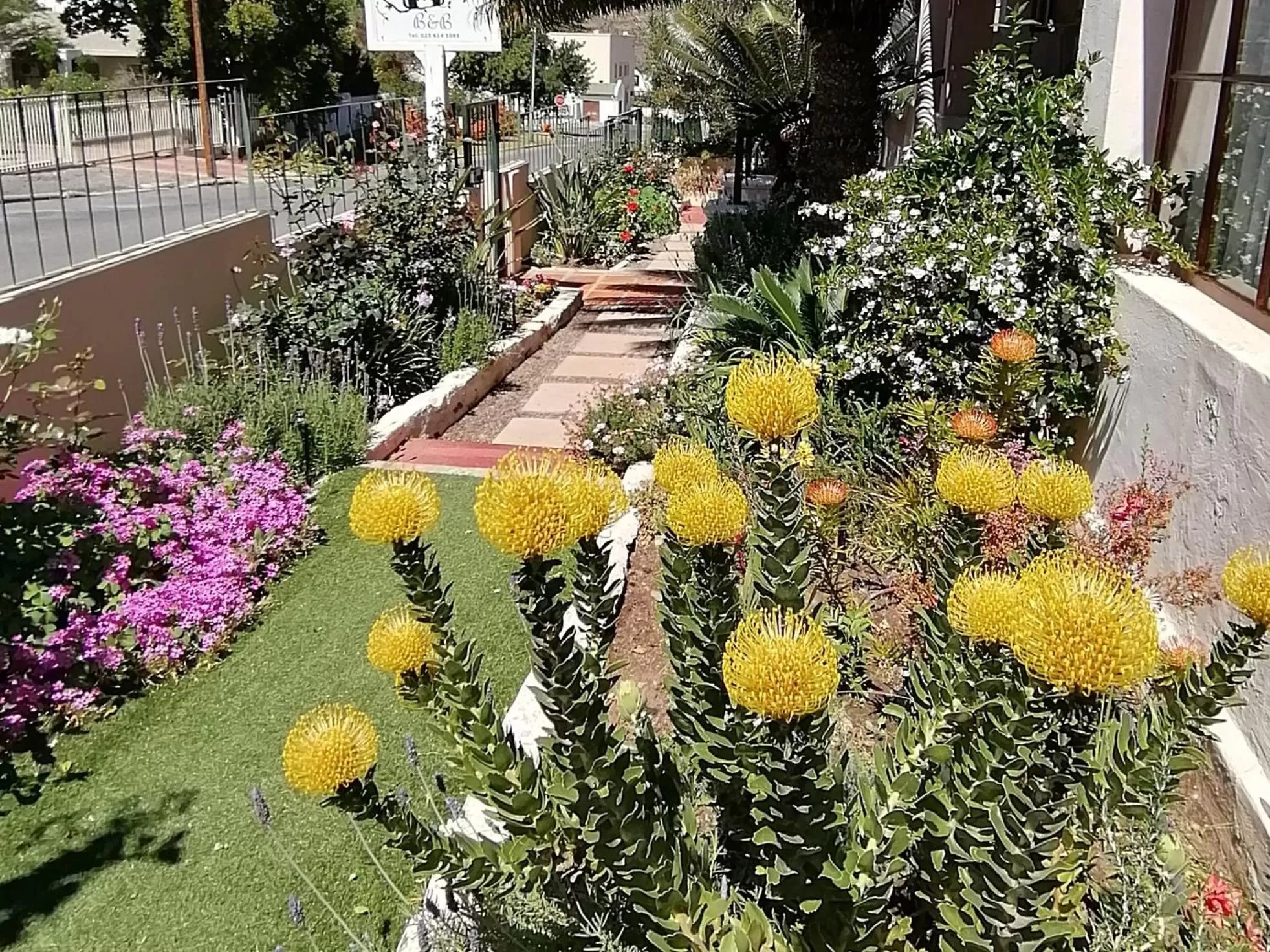 Garden in Squirrels Corner