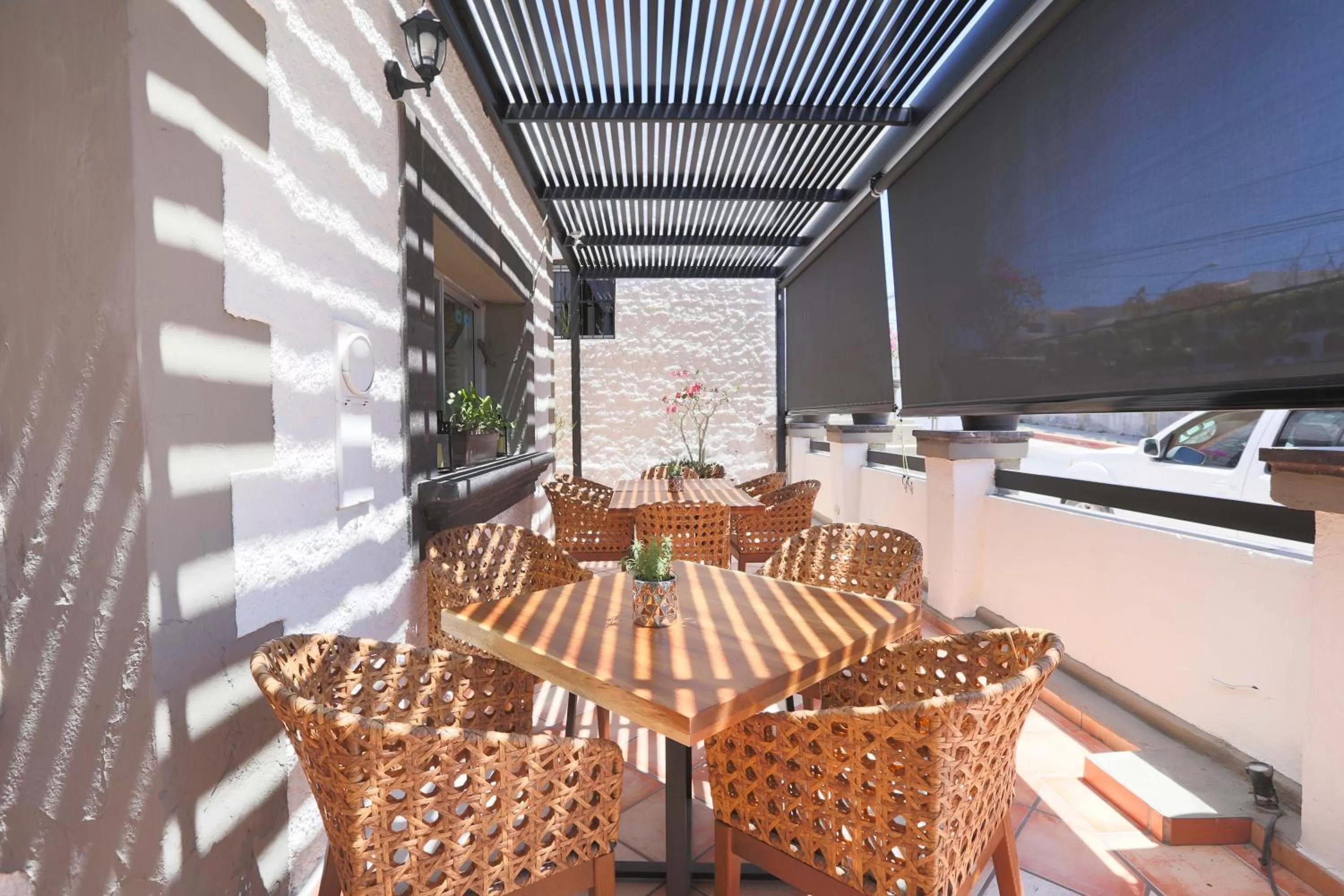 Restaurant/places to eat in Hotel Posada Terranova