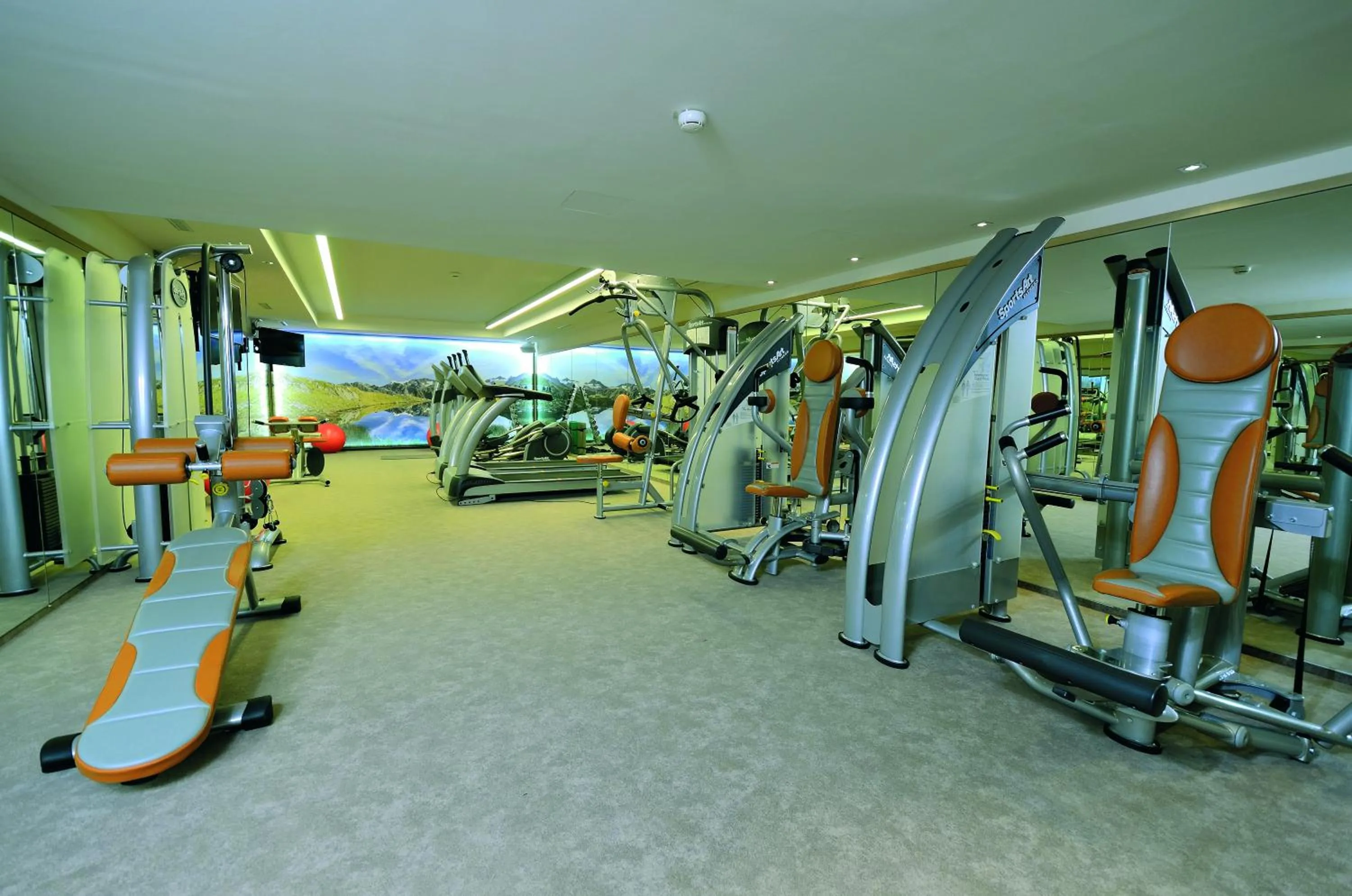 Fitness centre/facilities in Alpeiner - Nature Resort Tirol