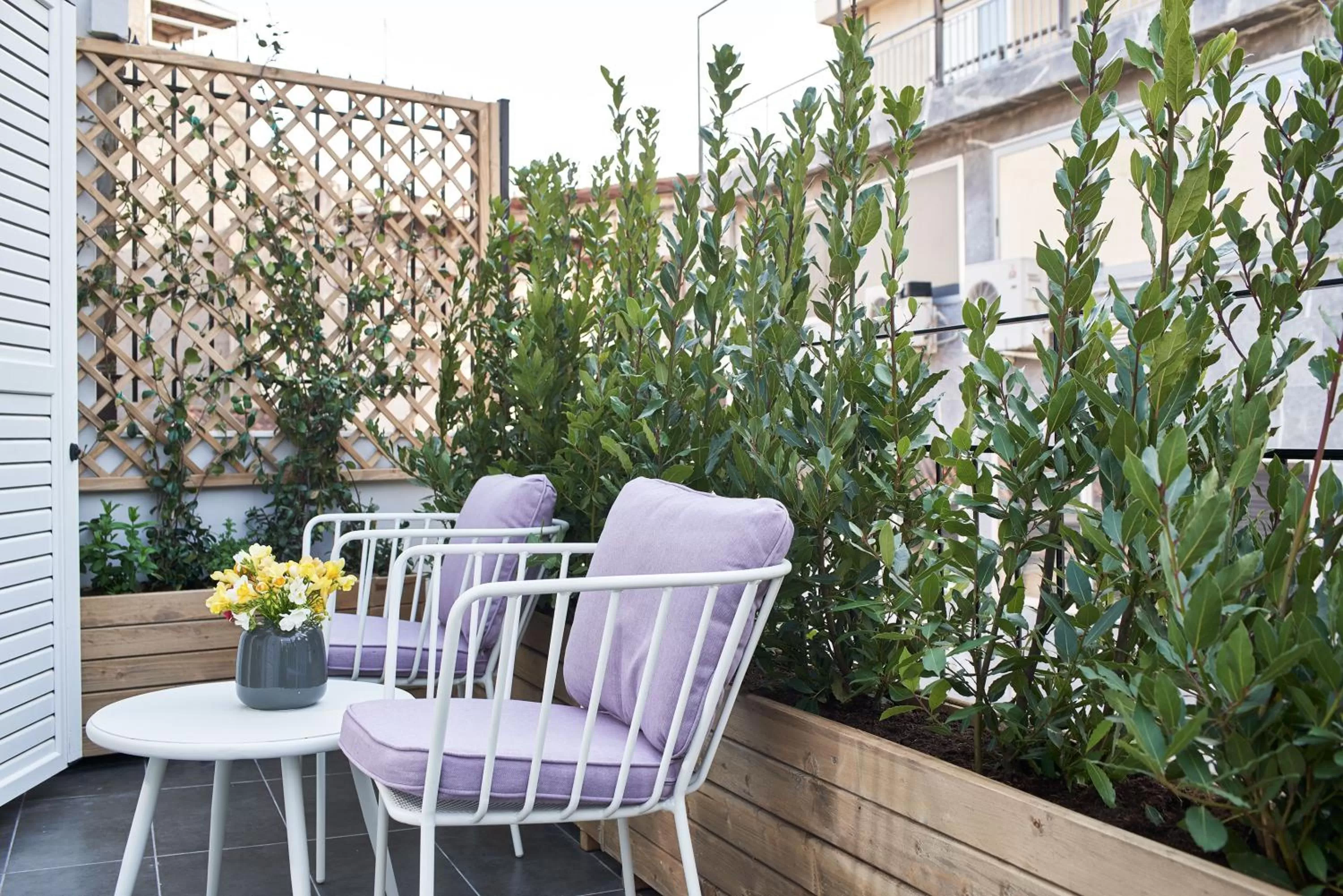 Balcony/Terrace in Athens4