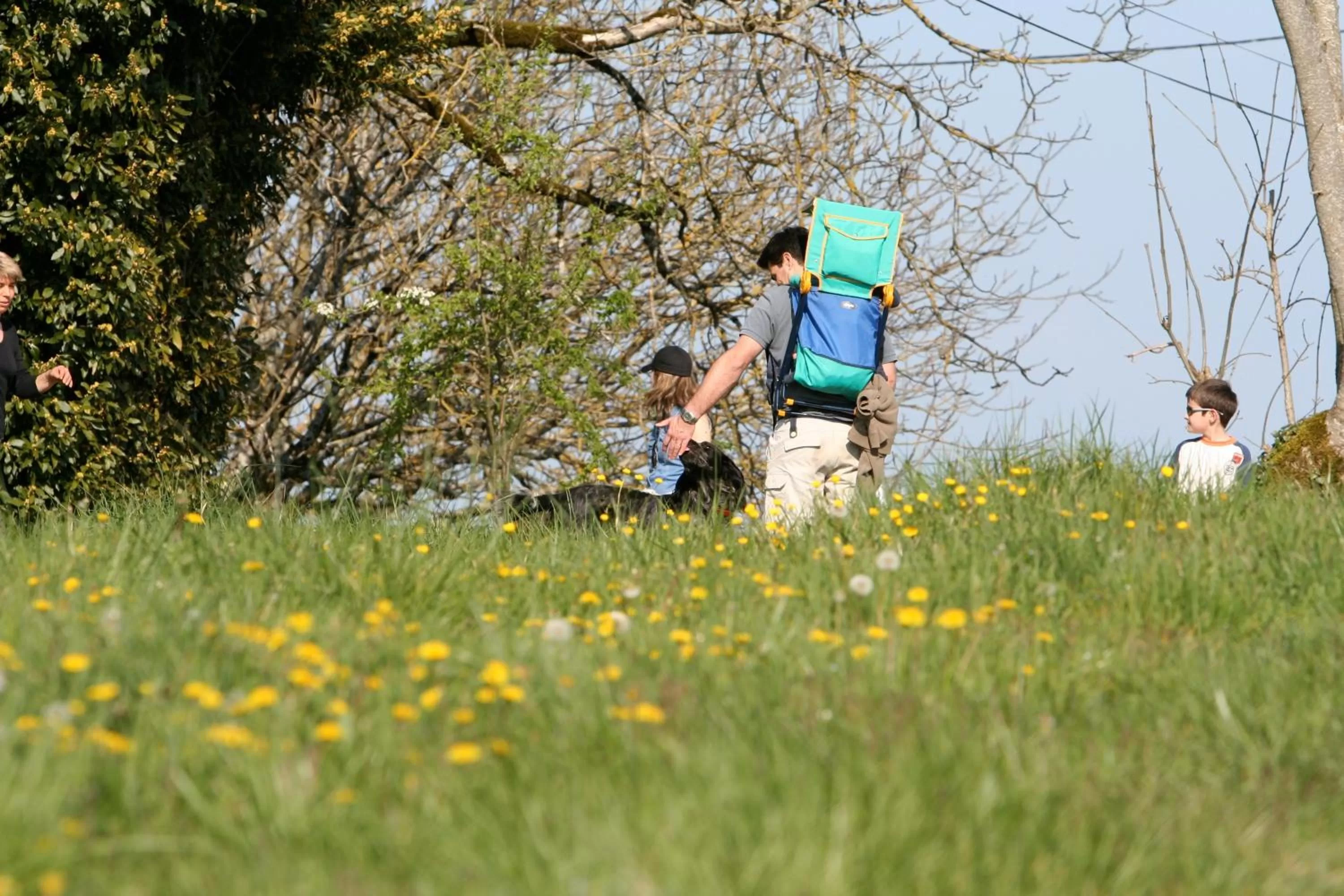 Activities in La Maison du Parc