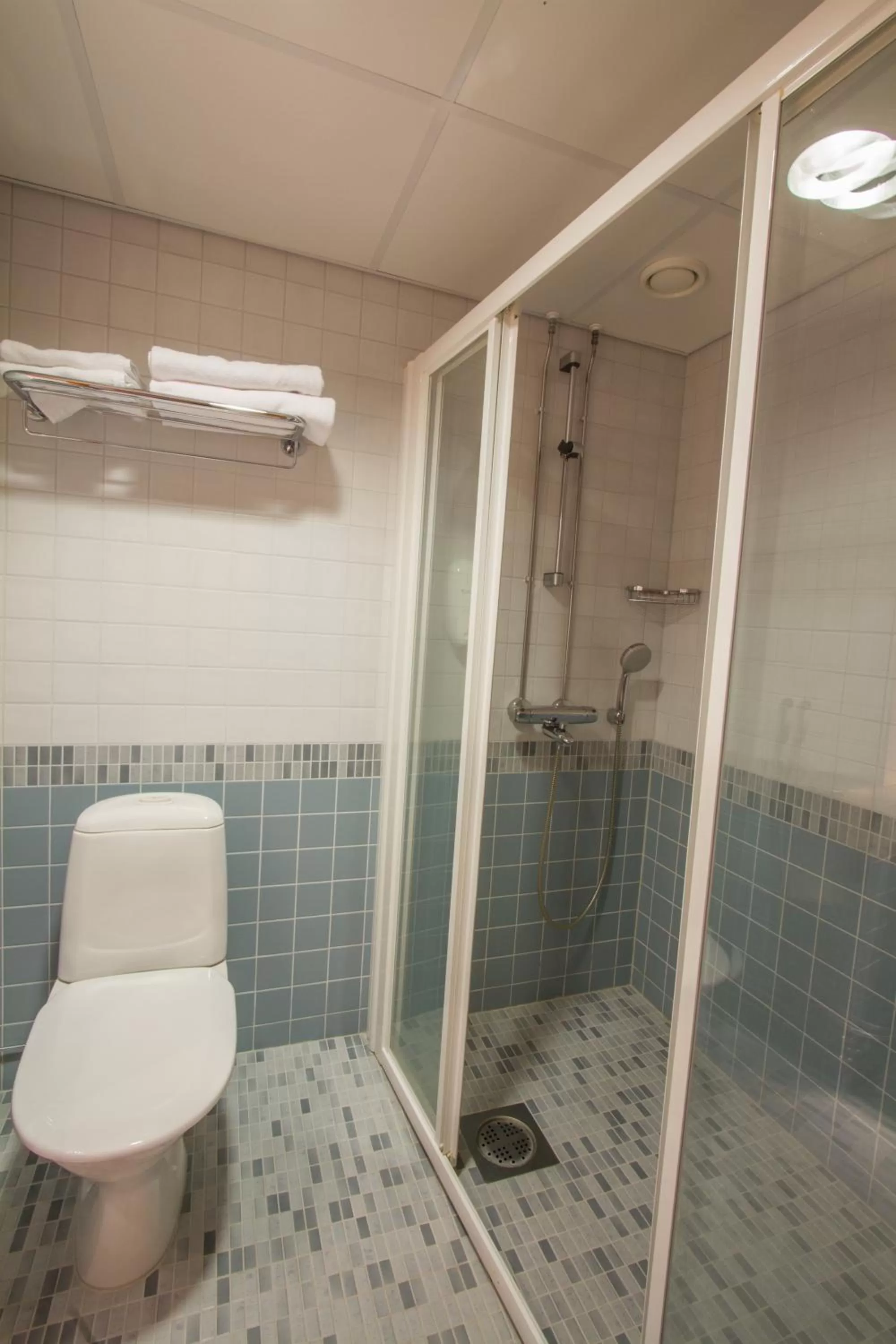 Shower in Economy Hotel Savonia