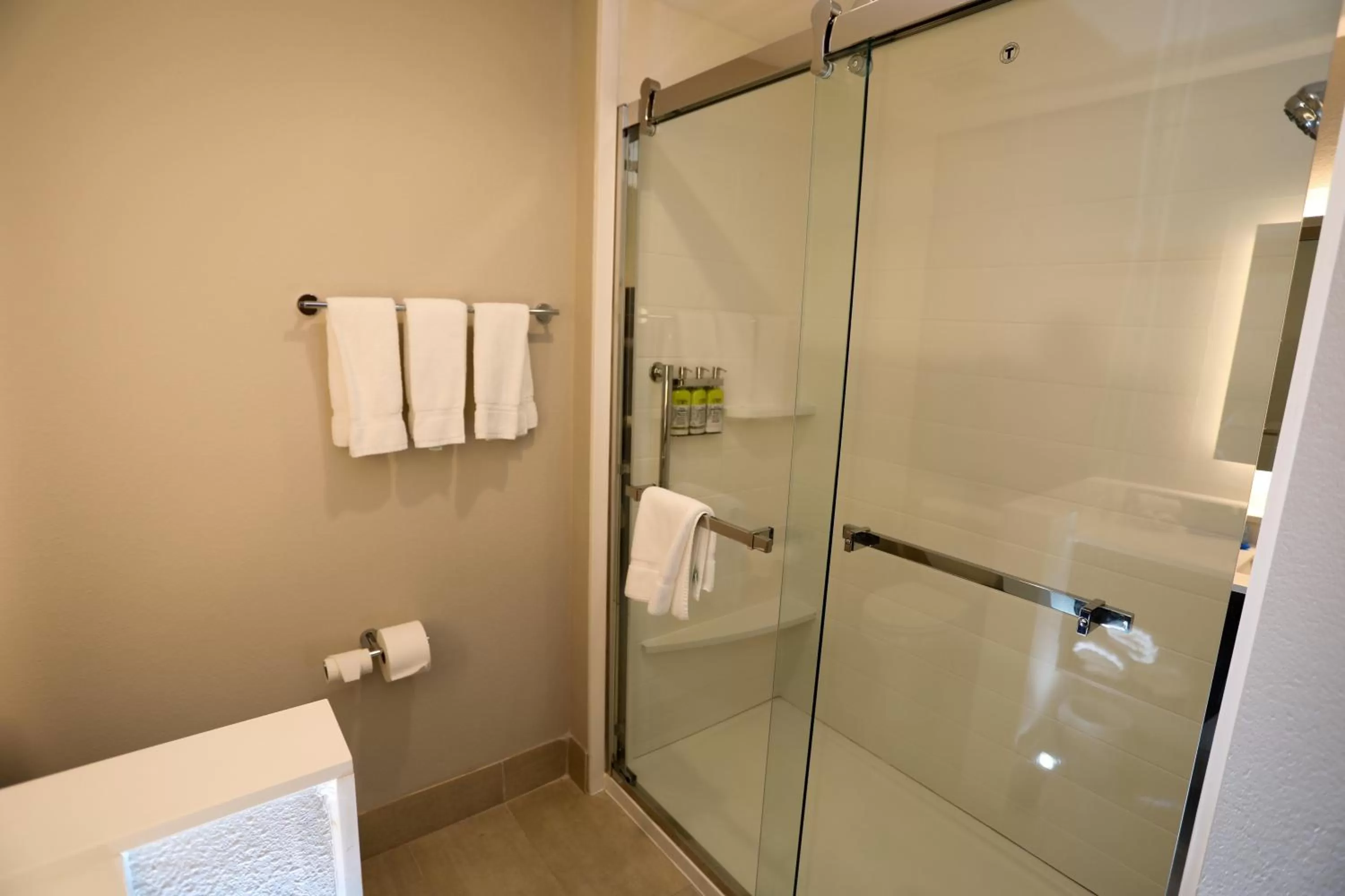 Bathroom in Holiday Inn Express & Suites - Forney by IHG