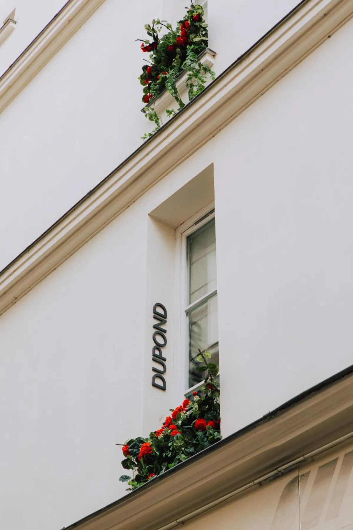 Property building in Hotel Dupond-Smith