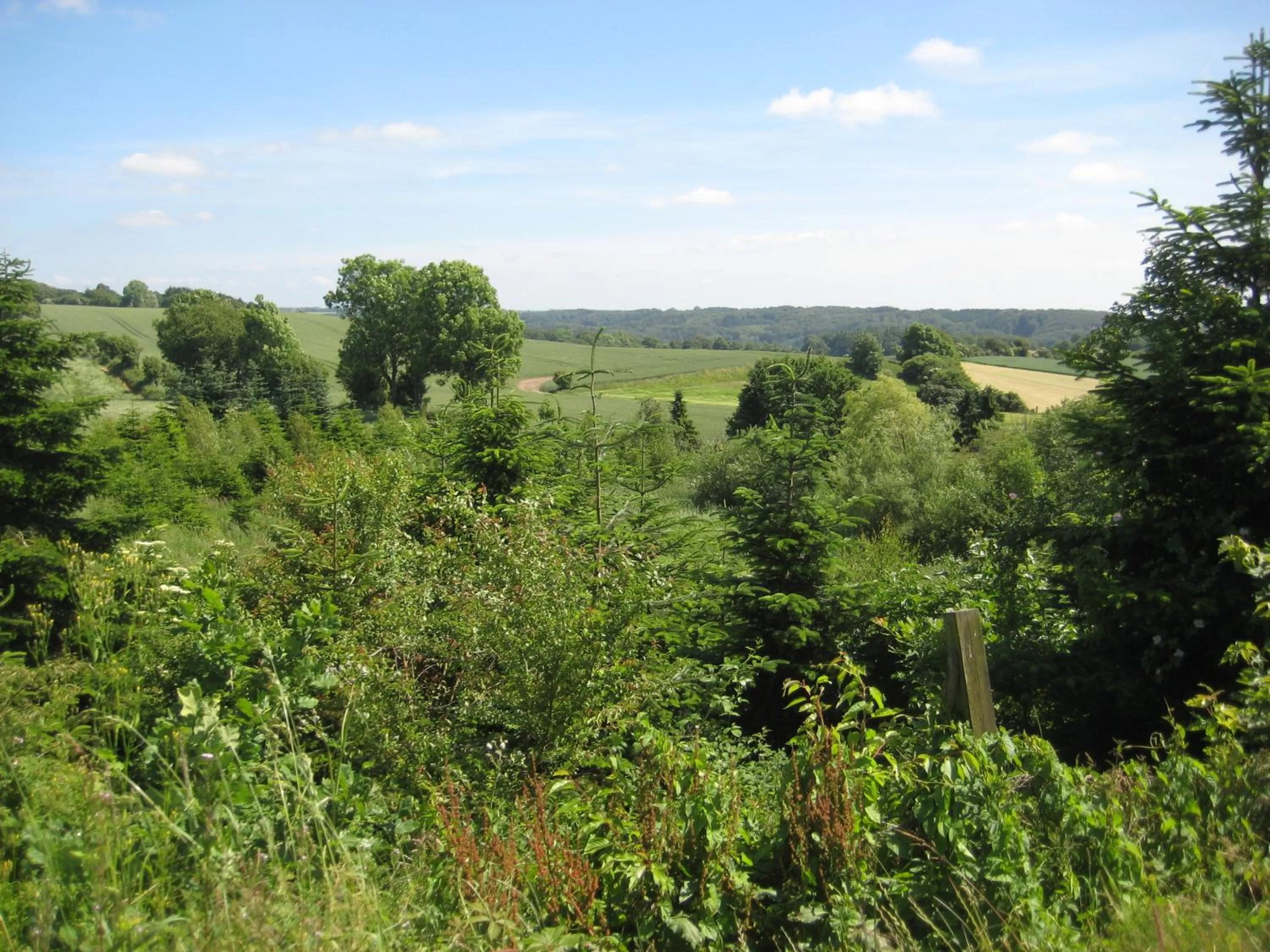 View (from property/room) in Billund Resort – Ravning