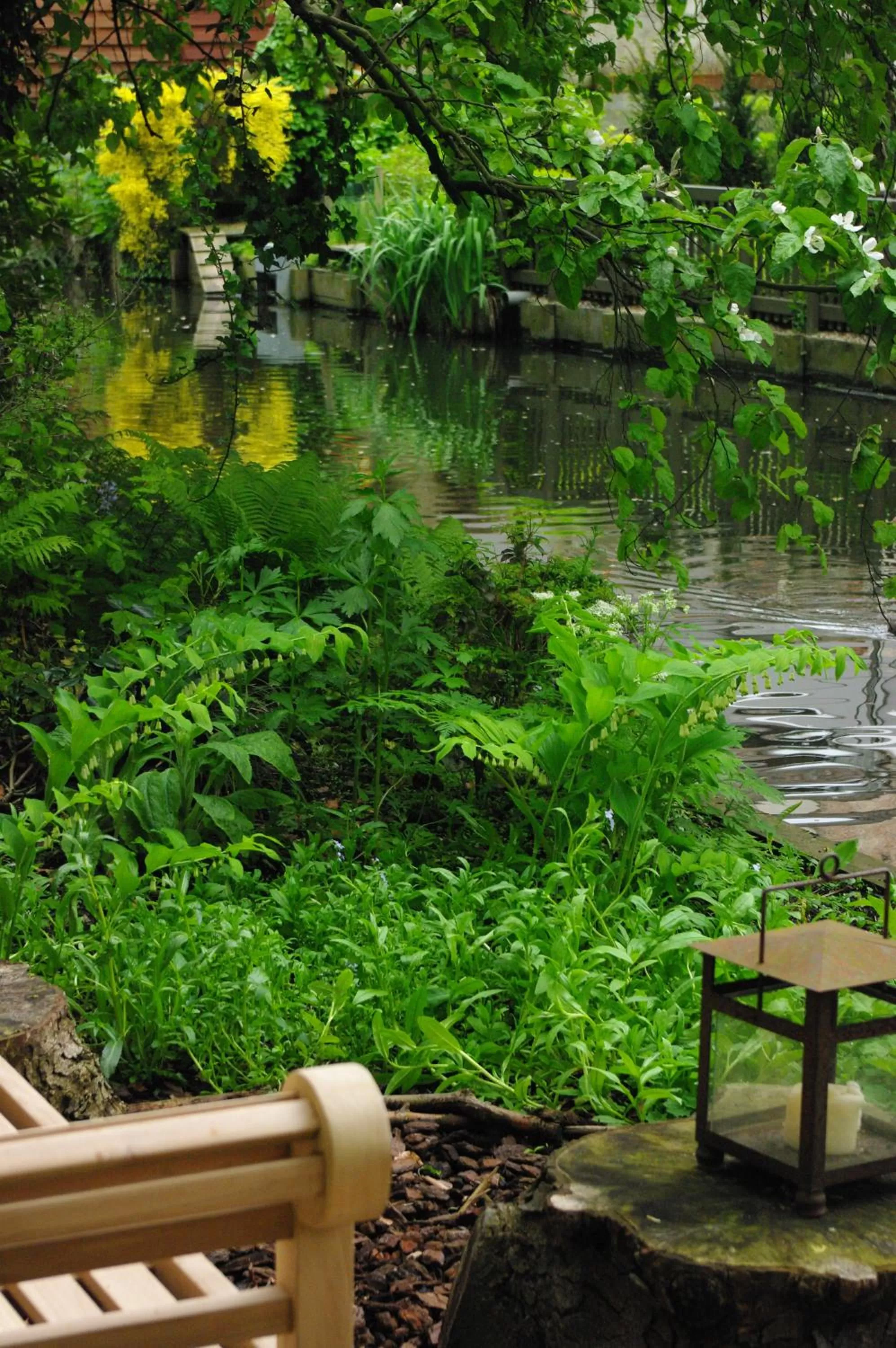 Other in B&B Canal Deluxe