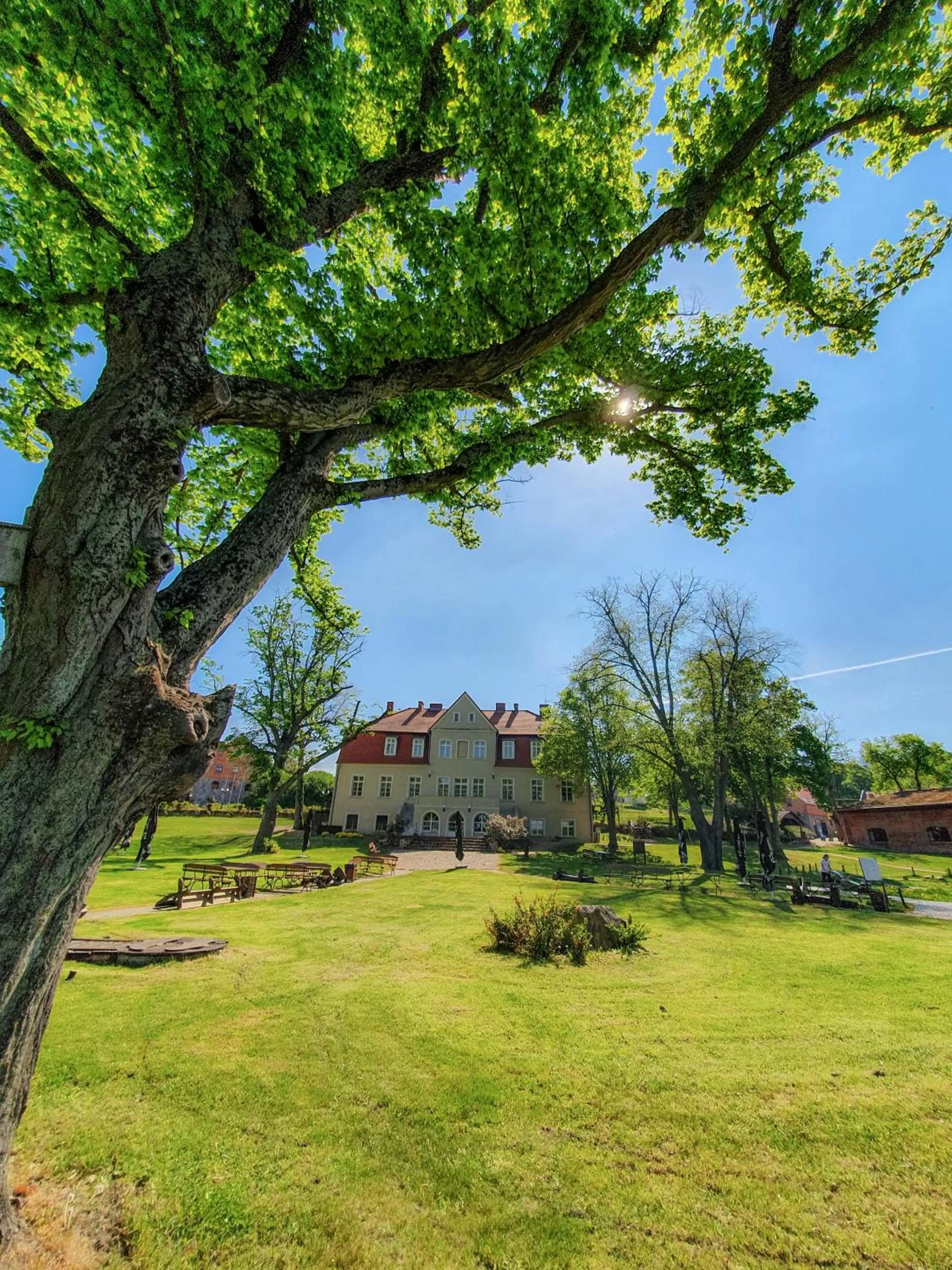 Windsurfing, Property Building in Olandia