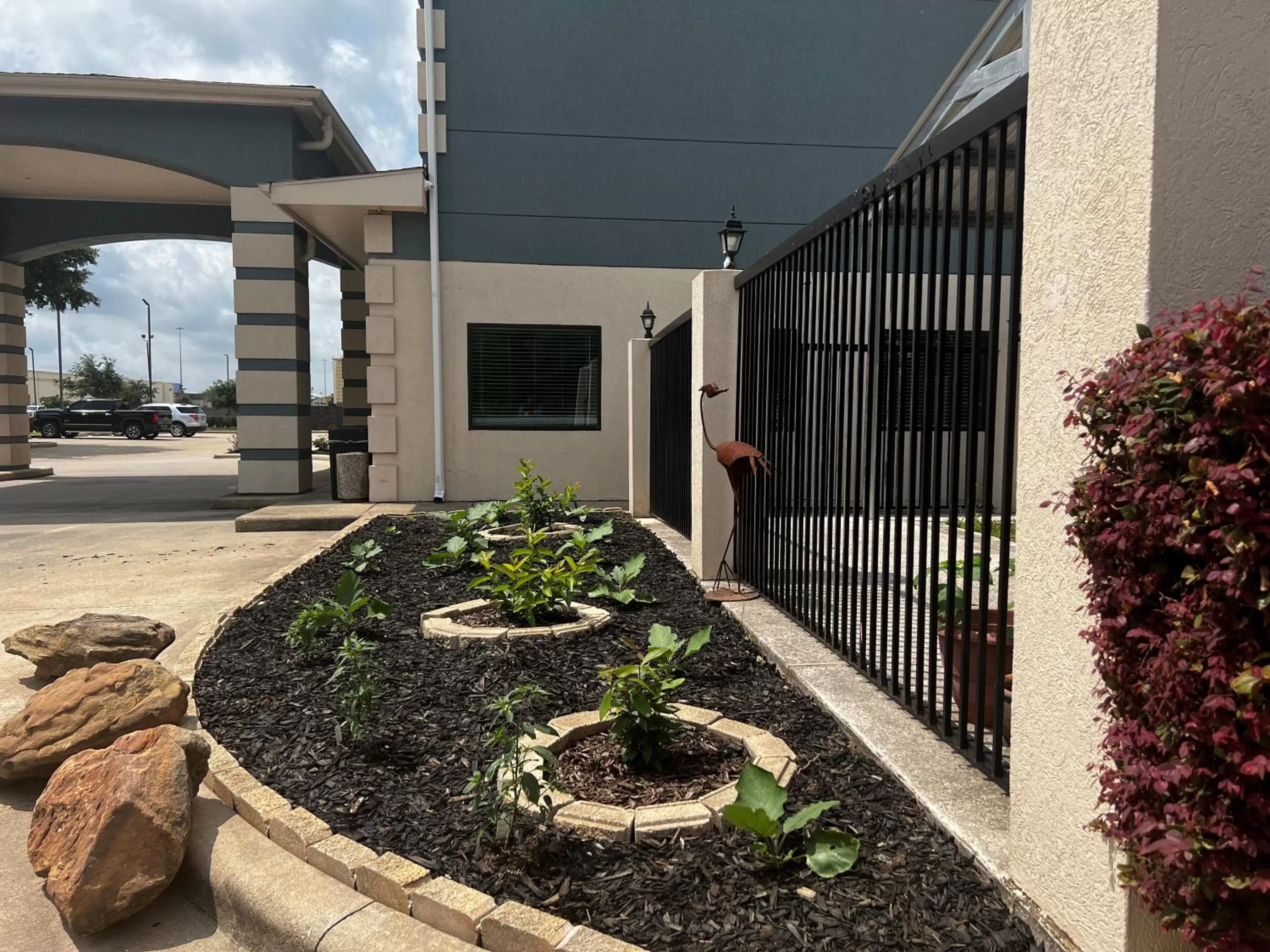 Garden in Super 8 by Wyndham Pasadena