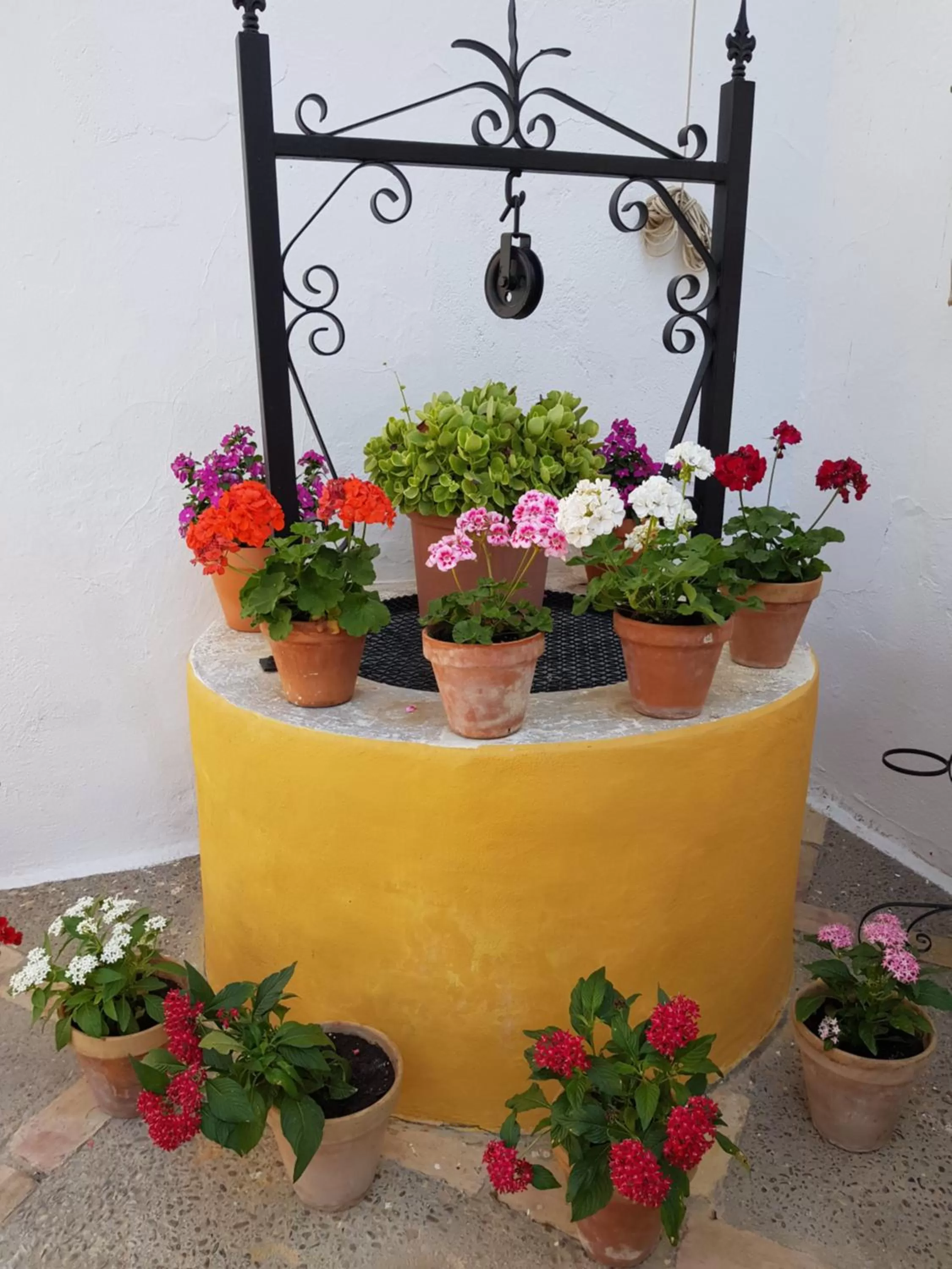 Decorative detail in Hacienda El Santiscal
