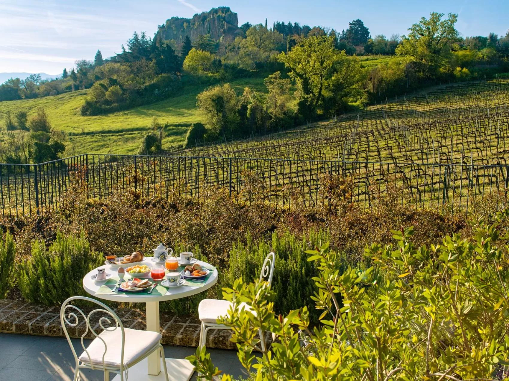 Natural landscape in Altarocca Wine Resort Adults Only