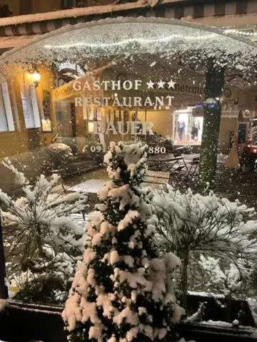 Winter in Gasthof Hotel Bauer