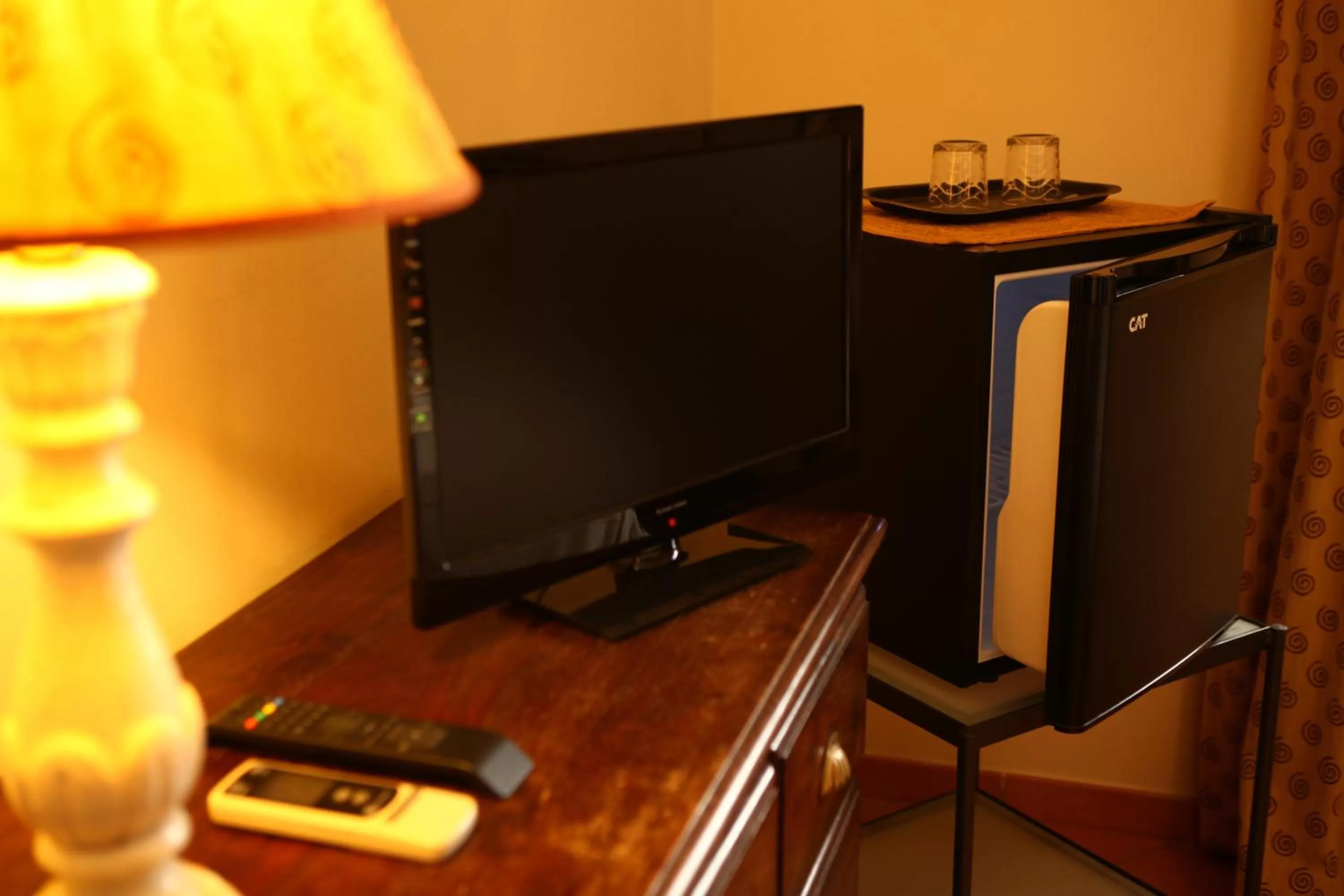 TV and multimedia in Art Lincoln