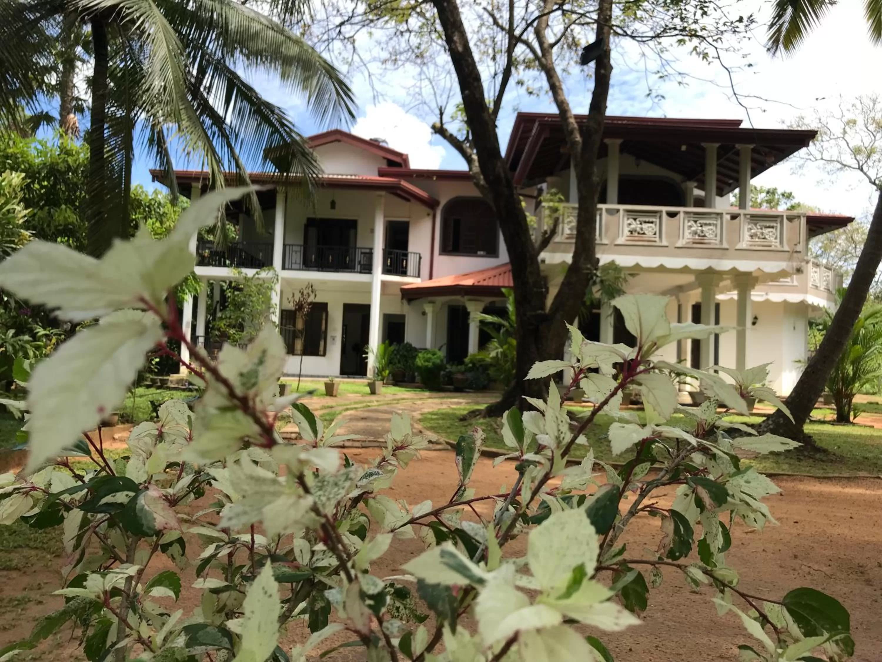 Property Building in Green Edge Residences