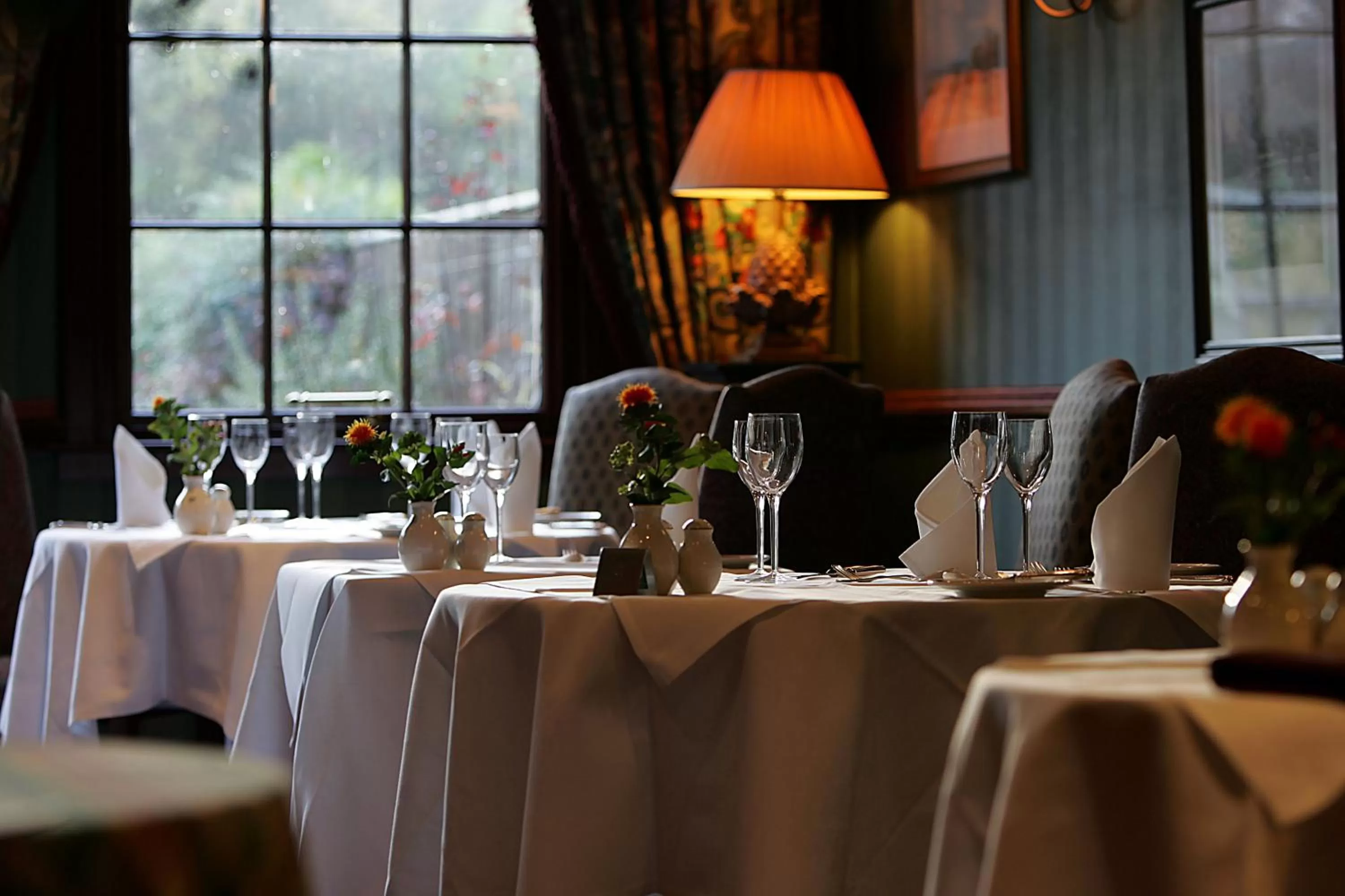 Restaurant/places to eat in Burt's Hotel