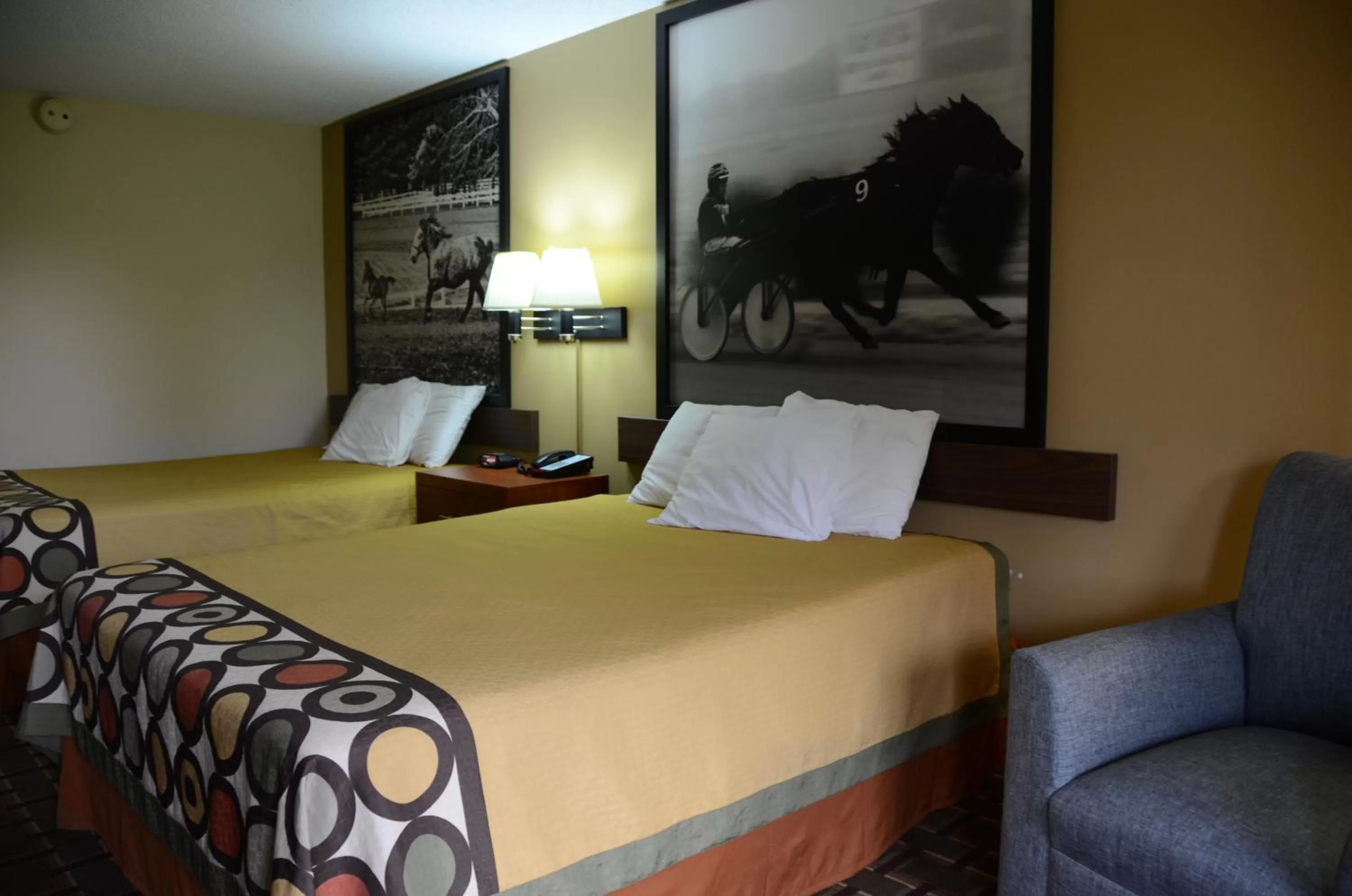 Bed in Super 8 by Wyndham Franklin Hwy 31