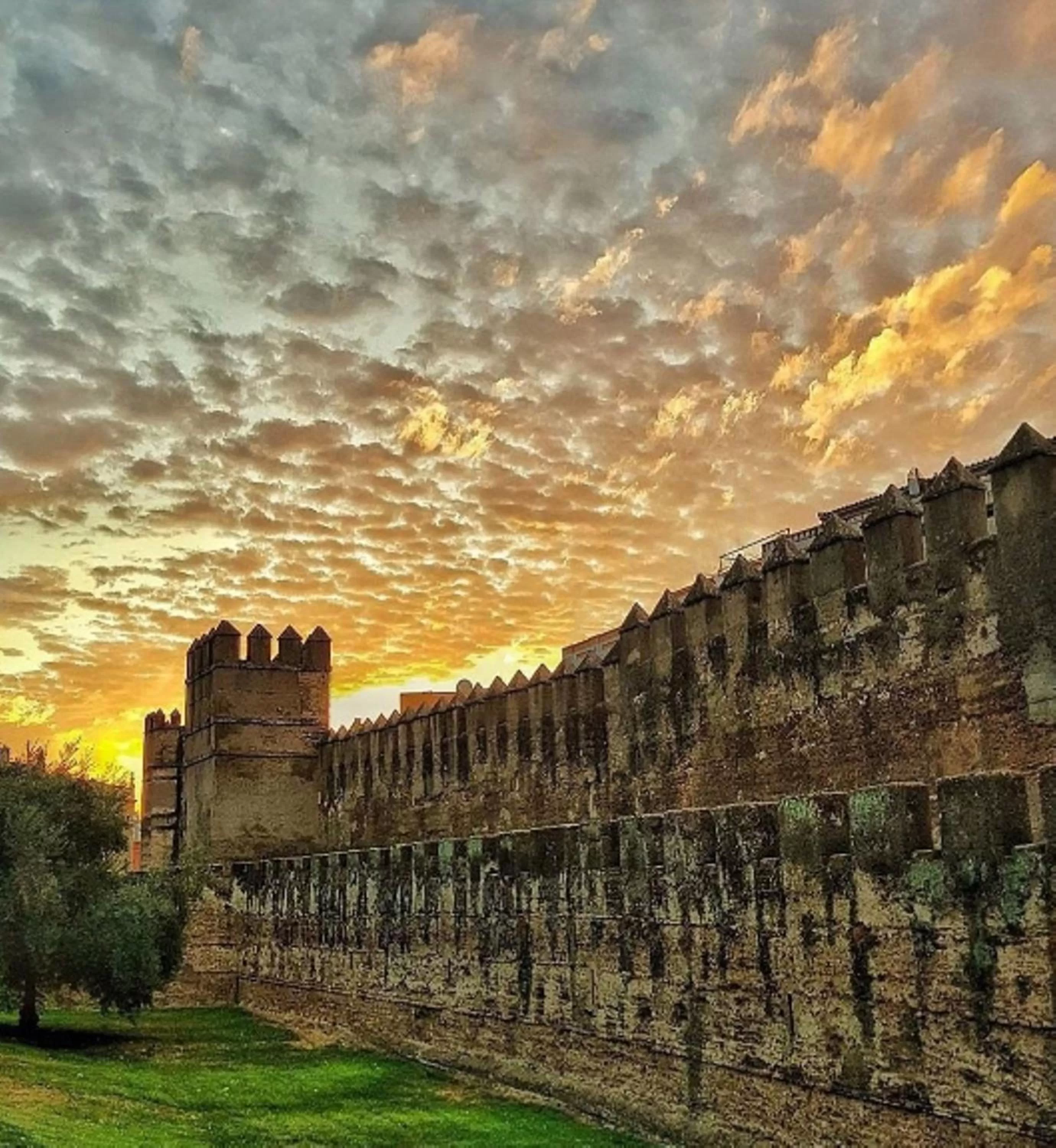 Nearby landmark in Alcoba del Rey de Sevilla