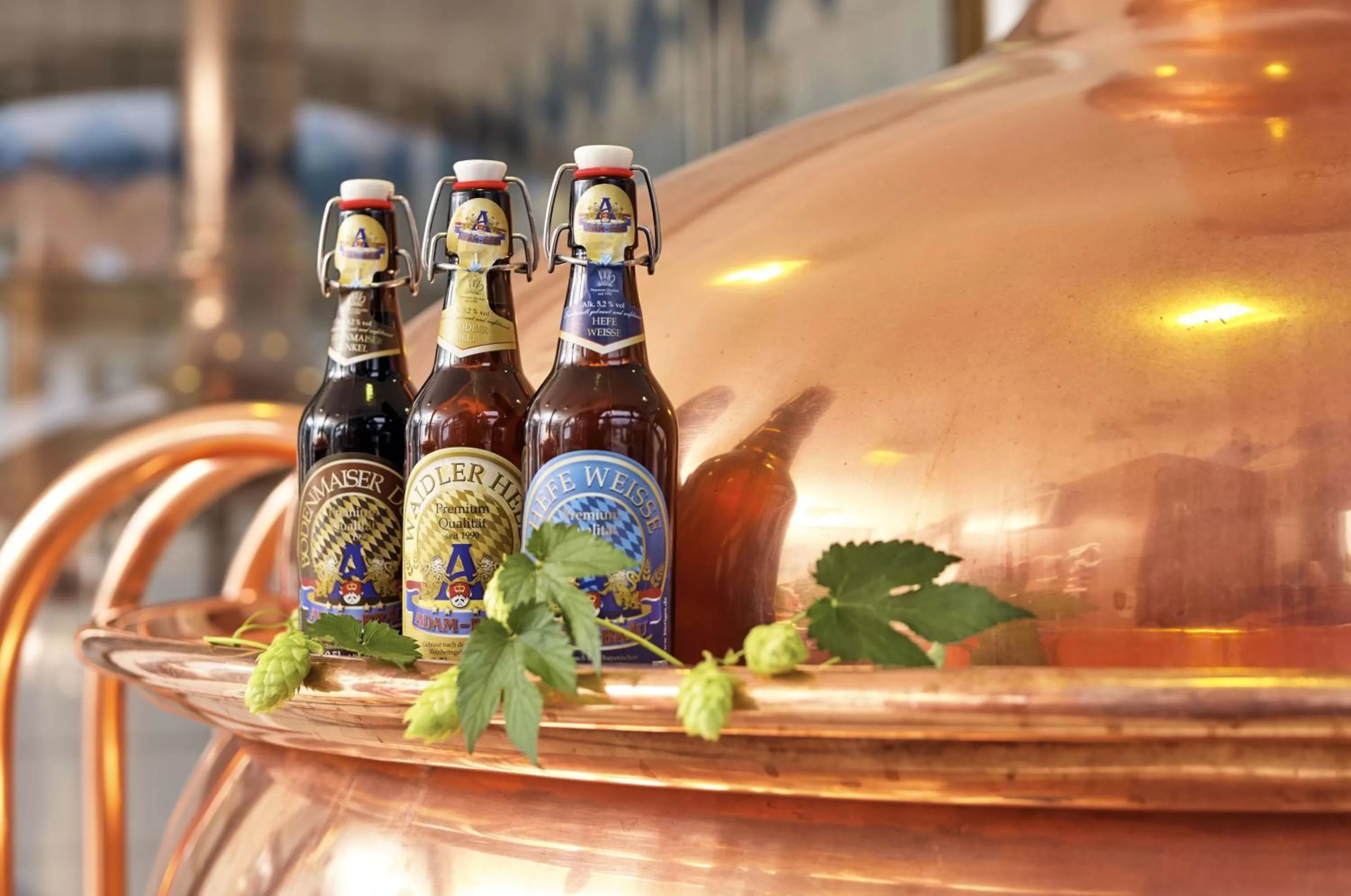 Other in Wander- und Aktivhotel Adam Bräu