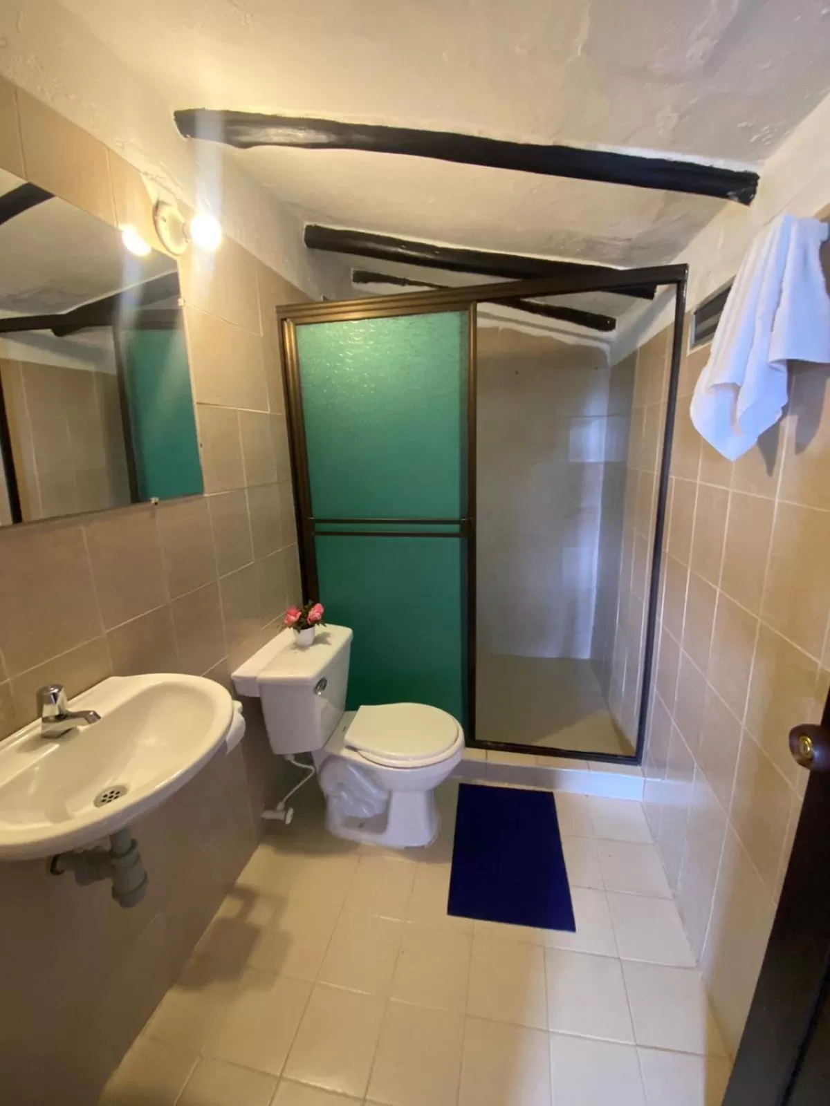 Bathroom in Hotel Campestre la Loma curiti