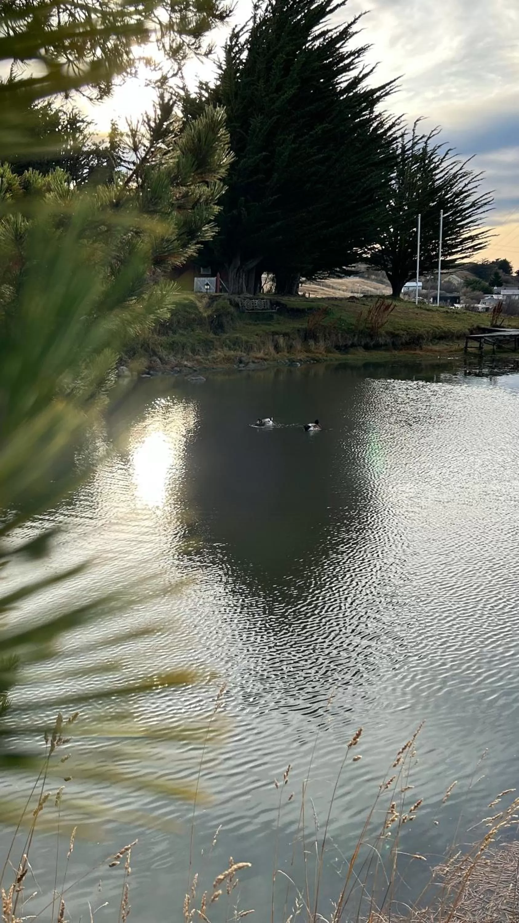 Property building in Hospedaje Isla Magdalena